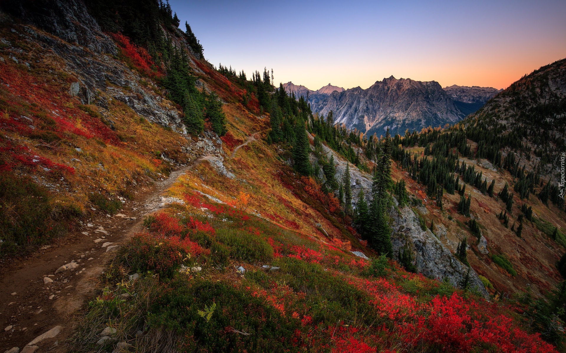 Góry, Jesień, Kolorowa, Roślinność, Ścieżka