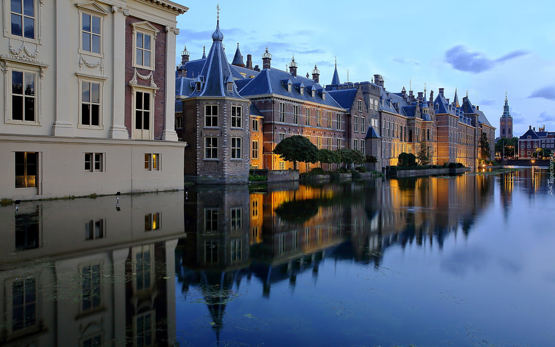 Staw Hofvijver, Odbicie, Budynki, Binnenhof, Domy, Drzewa, Haga, Holandia