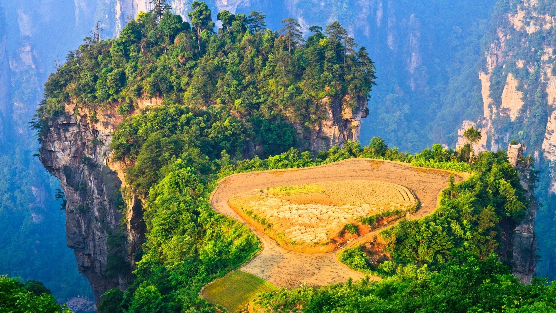 Skały, Drzewa, Zhangjiajie National Forest Park, Rezerwat Wulingyuan, Hunan, Chiny