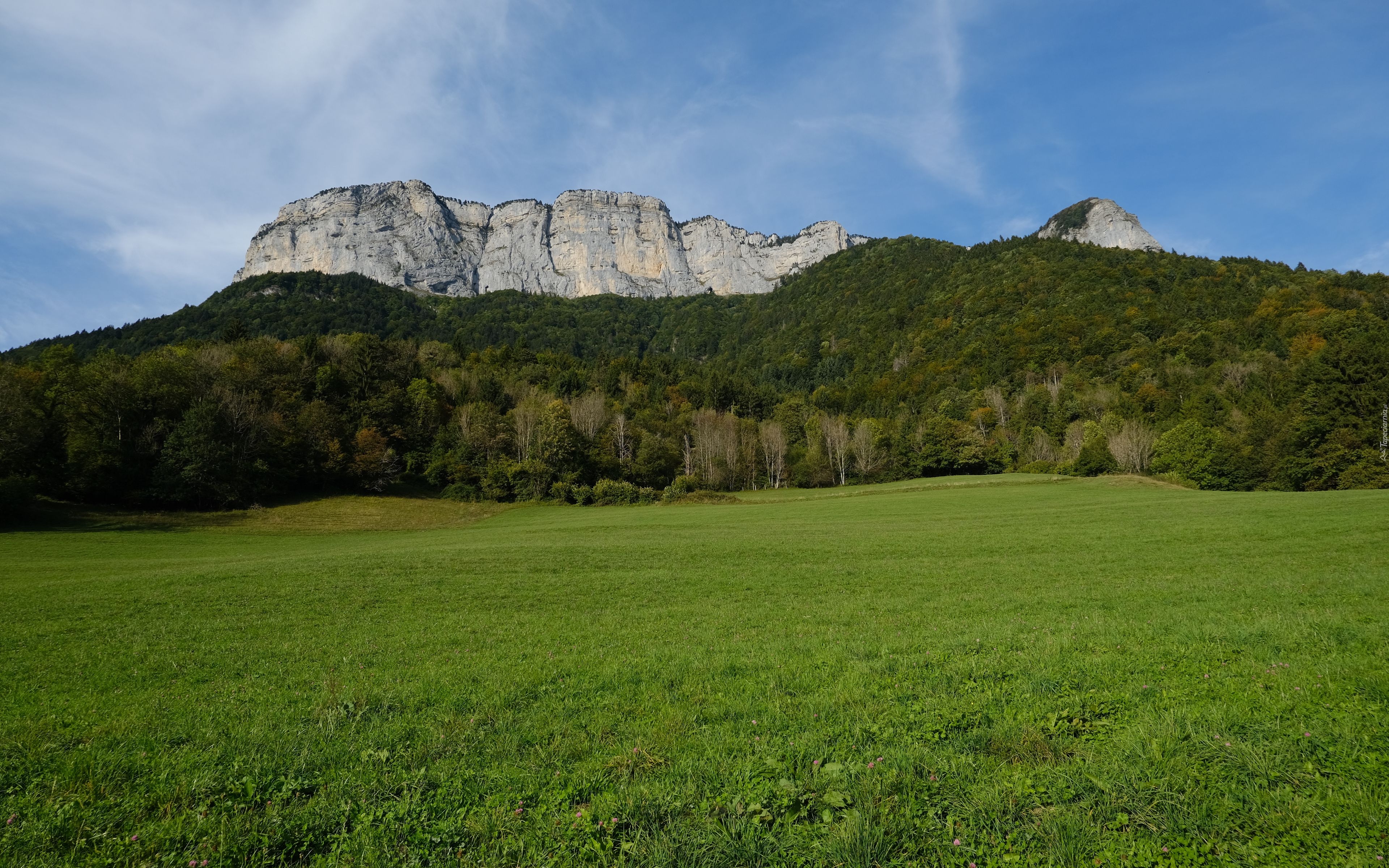 Góry, Drzewa, Las, Łąka