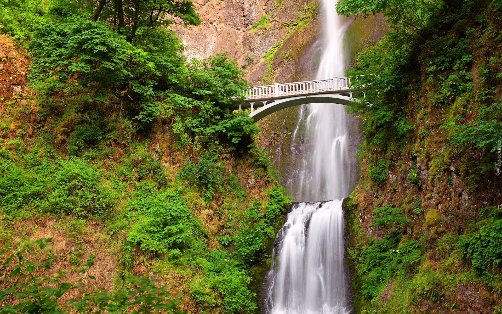 Wodospad, Multnomah Falls, Most, Skały, Drzewa, Roślinność, Hrabstwo Multnomah, Oregon, Stany Zjednoczone