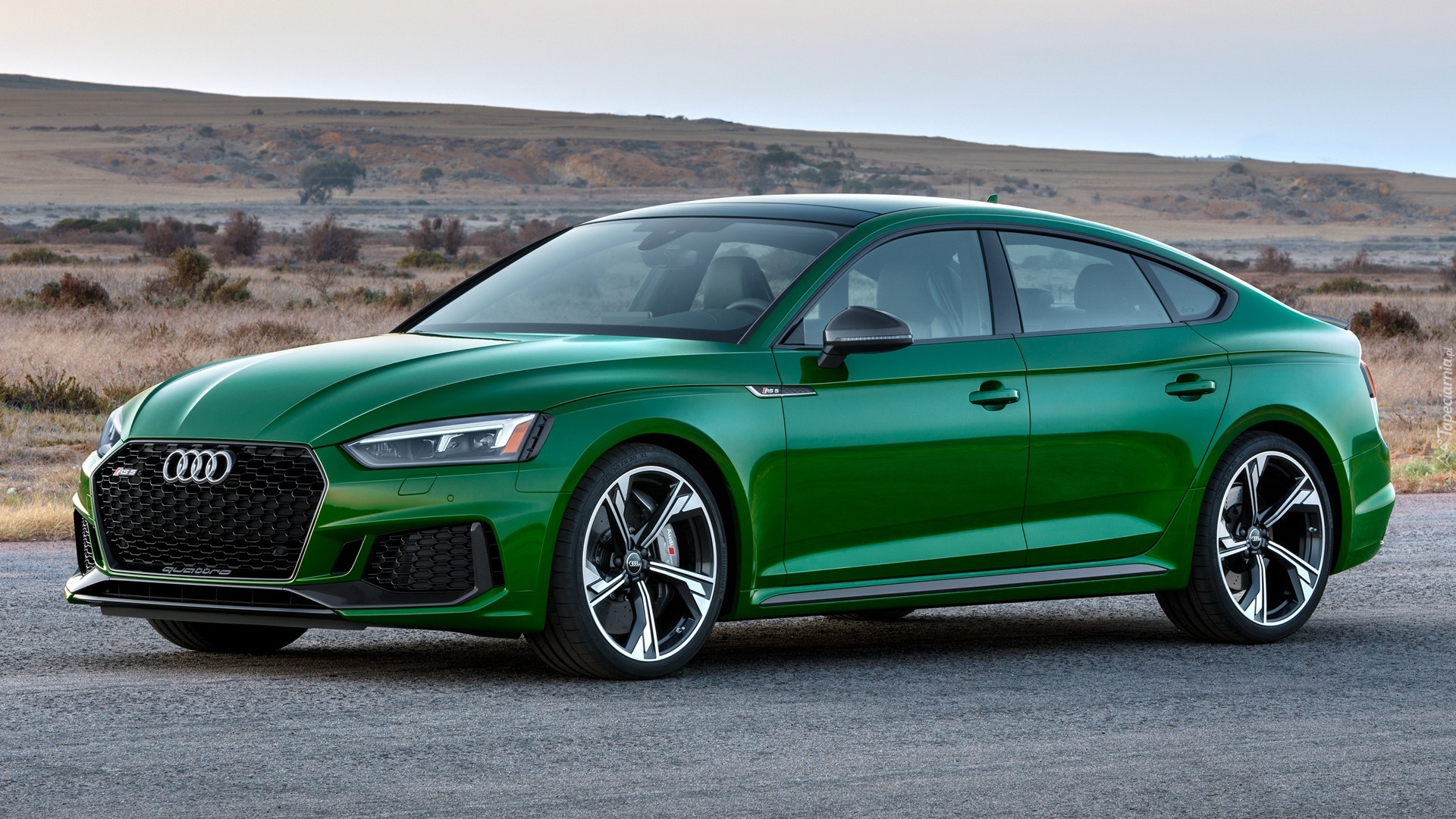 Zielone, Audi RS5 Sportback
