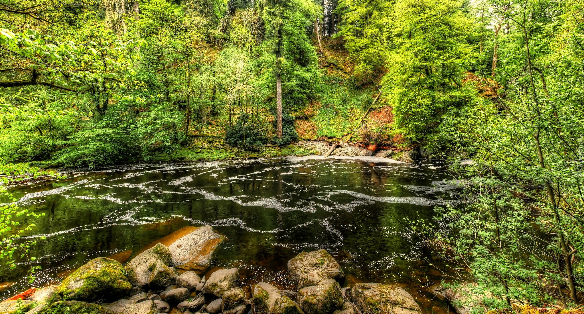 Las, Drzewa, Kamienie, Rzeka Braan, Szkocja