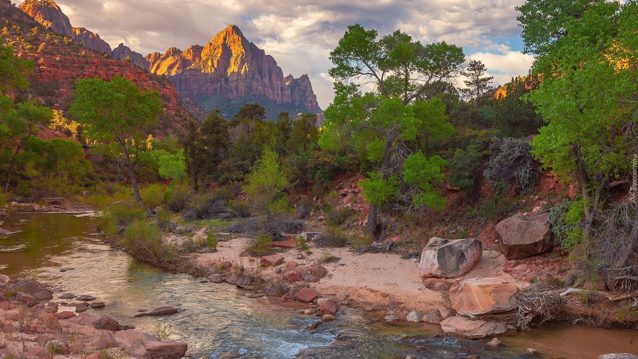 Góry, Rzeka, Rzeka, Virgin River, Drzewa, Park Narodowy Zion, Utah, Stany Zjednoczone