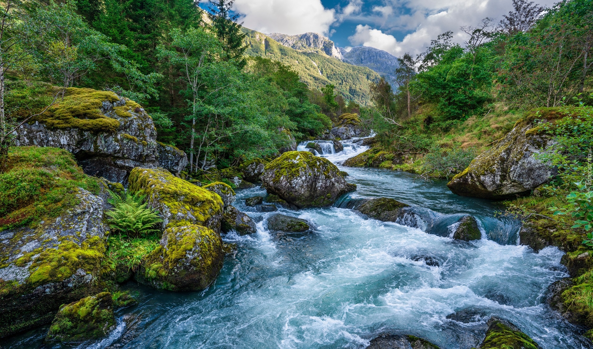 Rzeka, Omszone, Kamienie, Skały, Góry, Drzewa, Park Narodowy Folgefonna, Norwegia