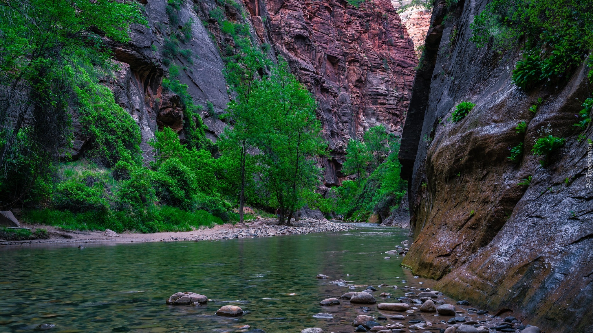 Stany Zjednoczone, Stan Utah, Park Narodowy Zion, Kanion Zion Narrows, Skały, Kamienie, Rzeka, Virgin River