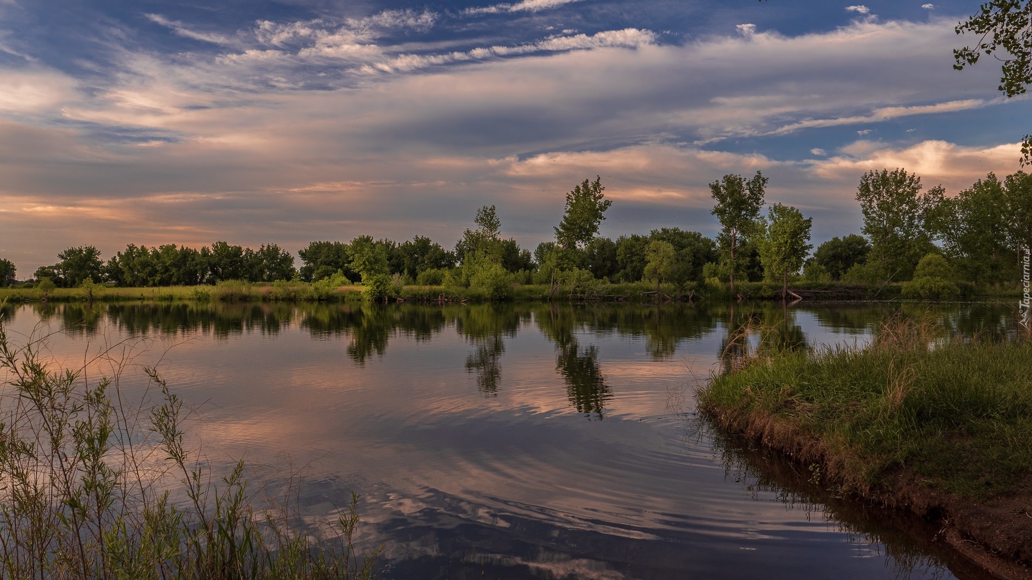 Jezioro, Drzewa, Trawa, Odbicie