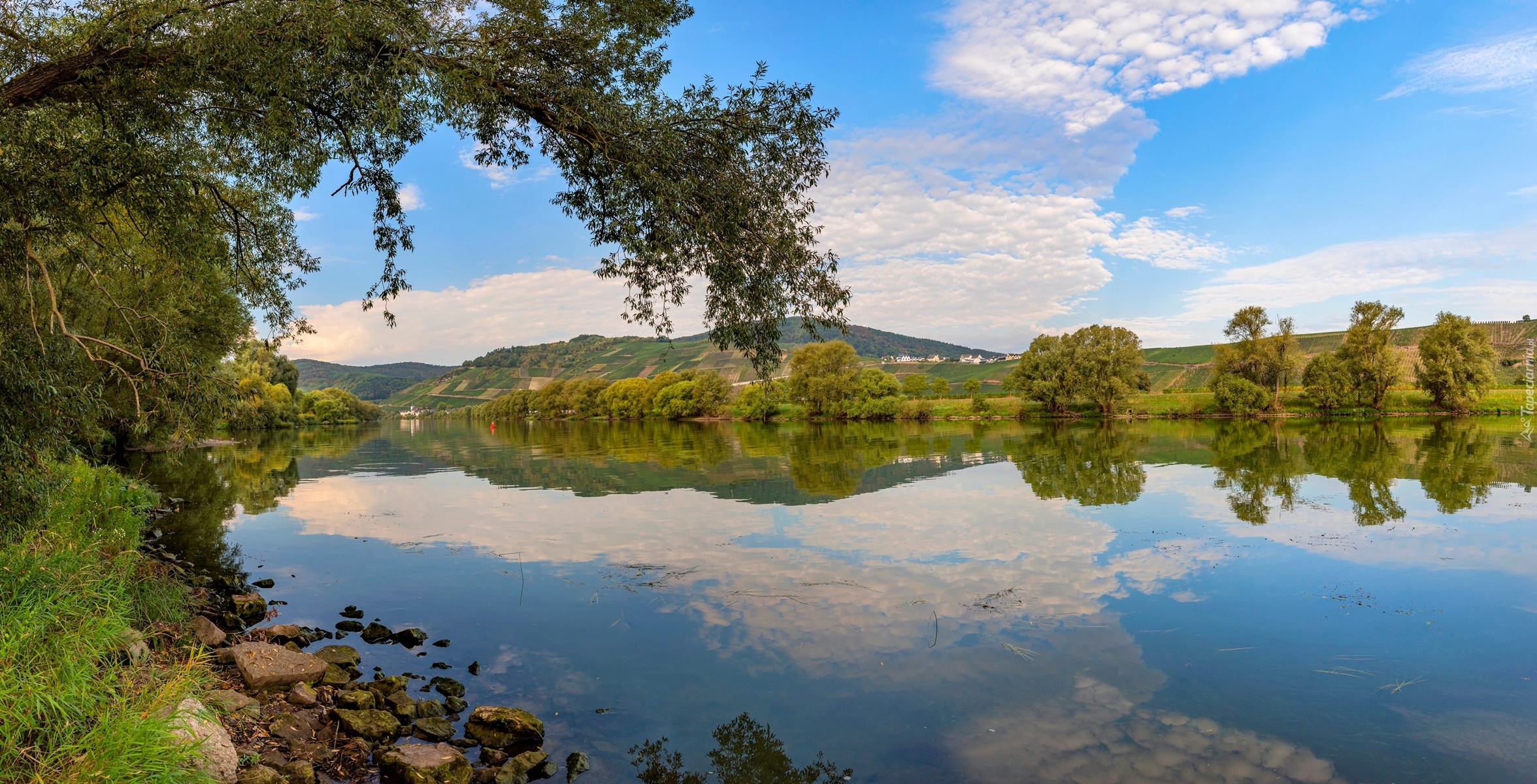 Rzeka, Drzewa, Wzgórza, Odbicie