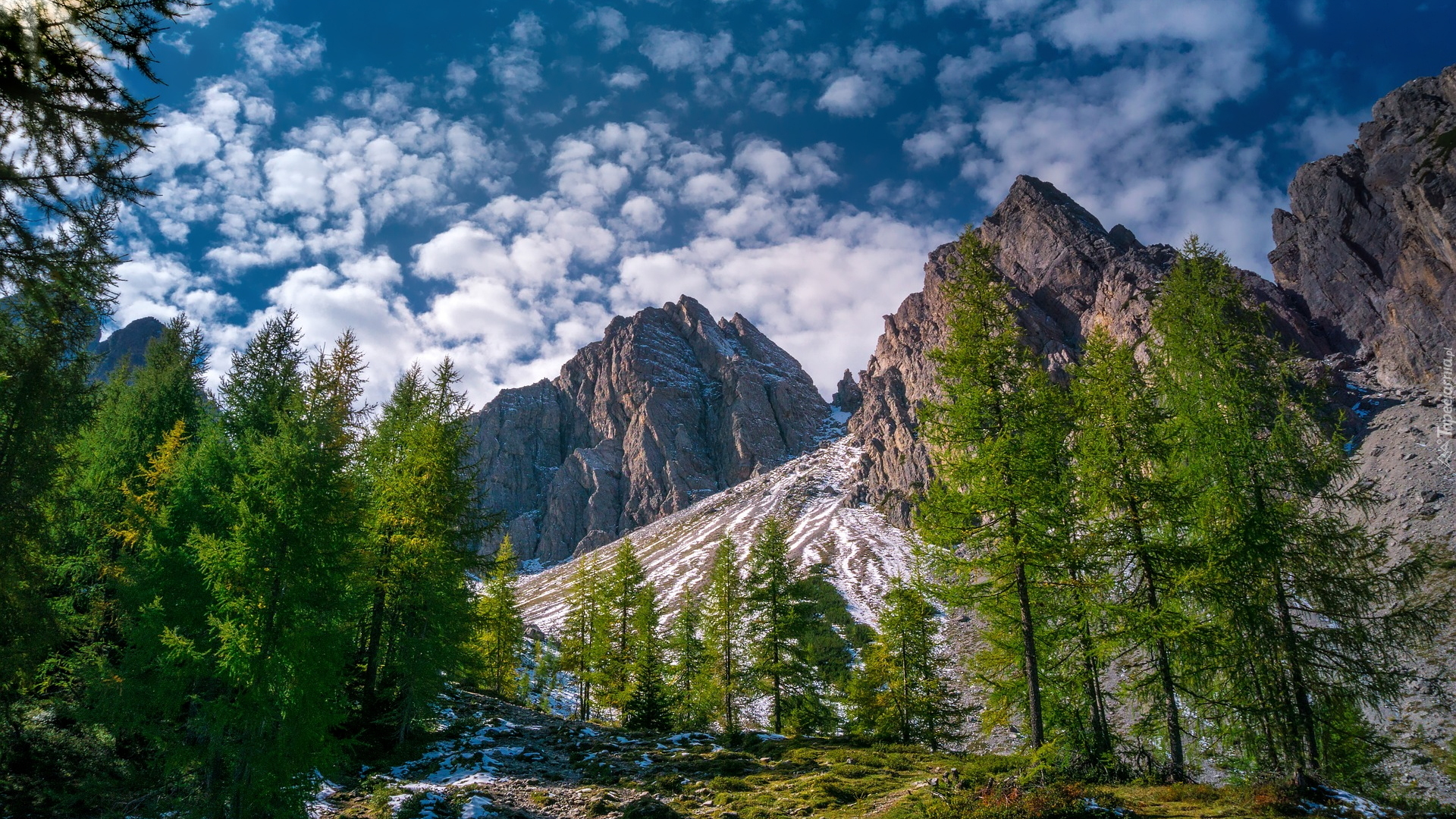 Góry, Alpy, Niebo, Drzewa, Tyrol, Austria