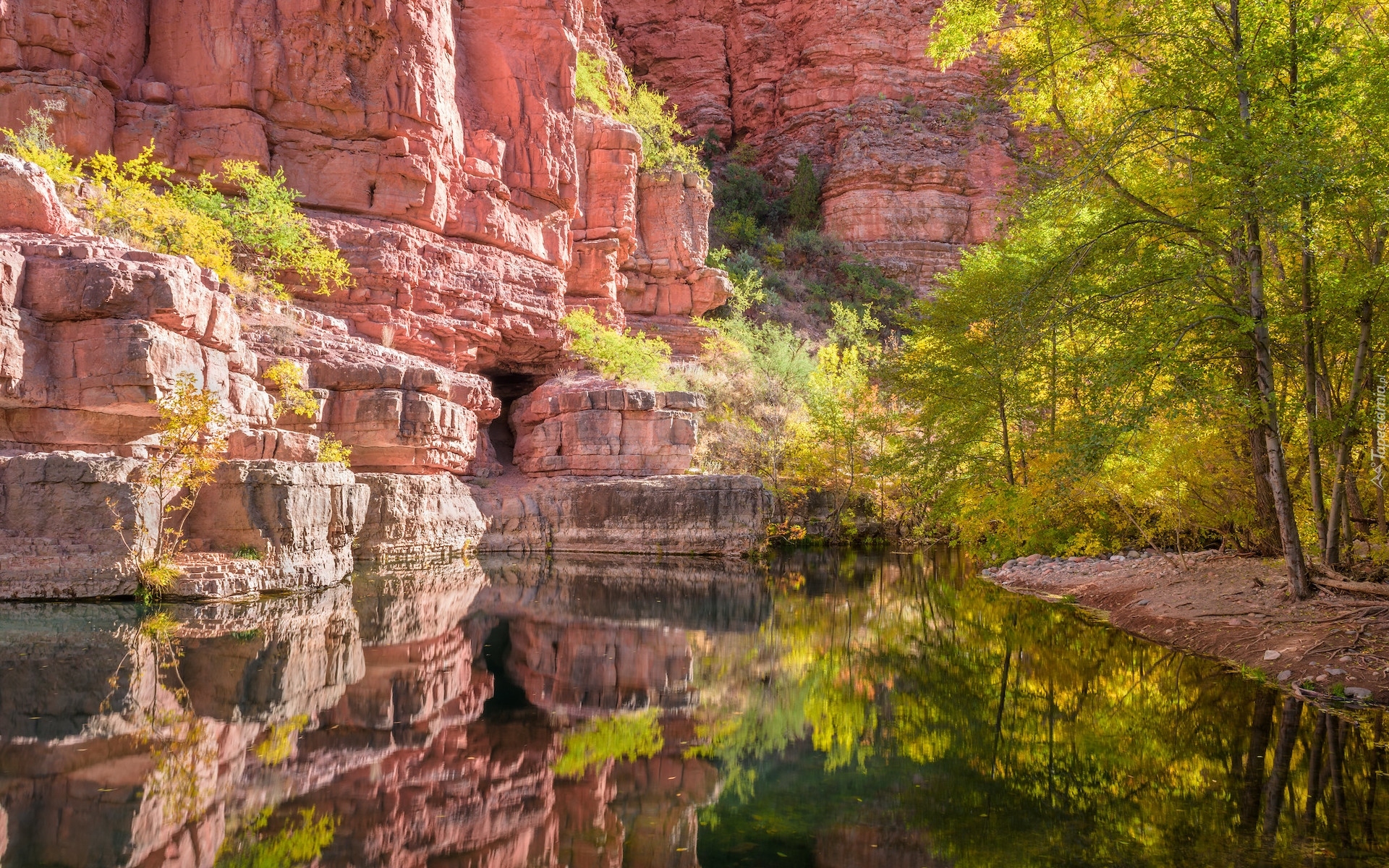 Góry, Skały, Drzewa, Rzeka, Kanion Sycamore, Arizona, Stany Zjednoczone