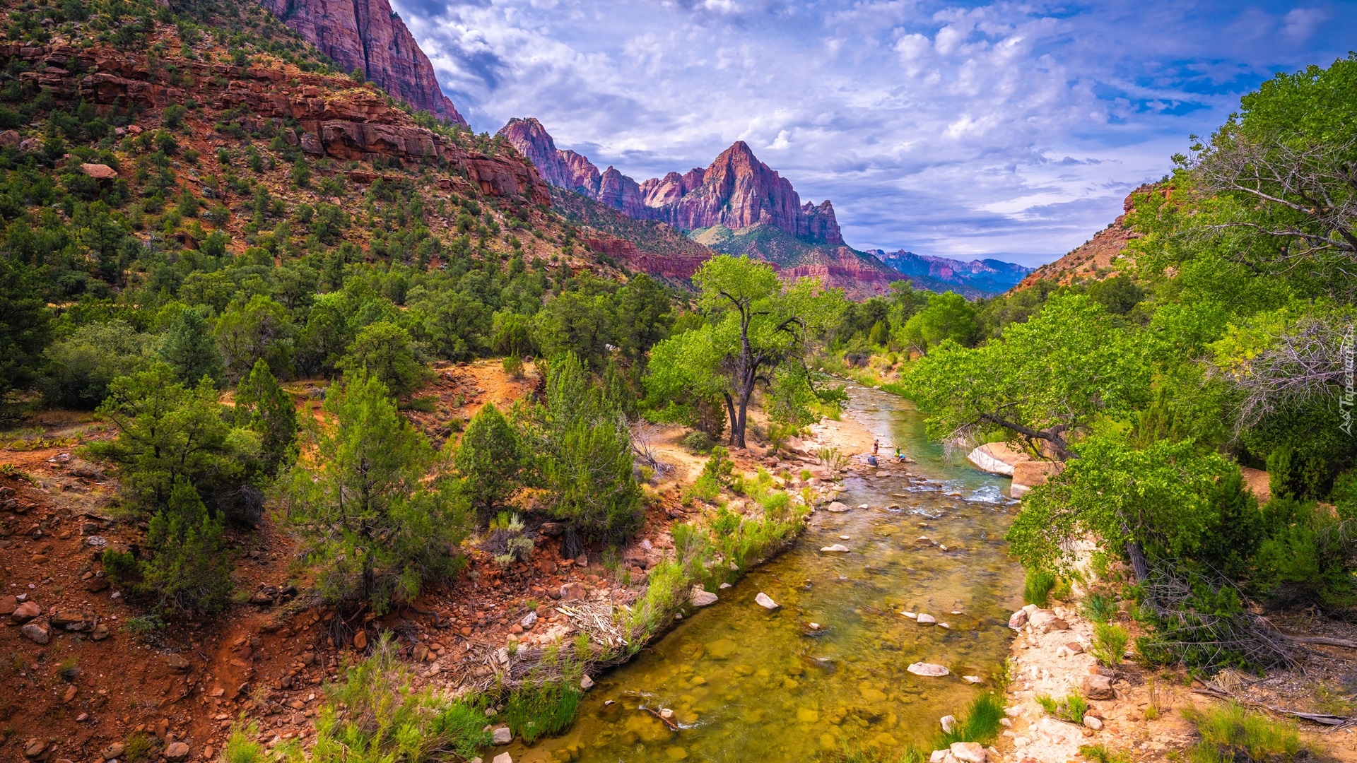 Stany Zjednoczone, Stan Utah, Park Narodowy Zion, Góry Watchman, Rzeka Virgin River, Kamienie, Drzewa, Chmury