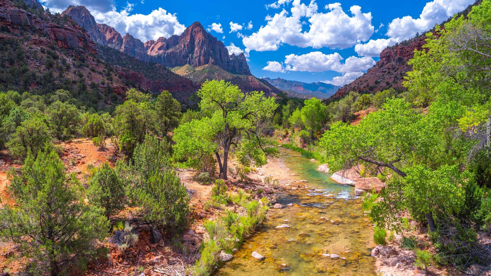 Park Narodowy Zion, Góry Watchman, Drzewa, Chmury, Rzeka Virgin River, Stan Utah, Stany Zjednoczone