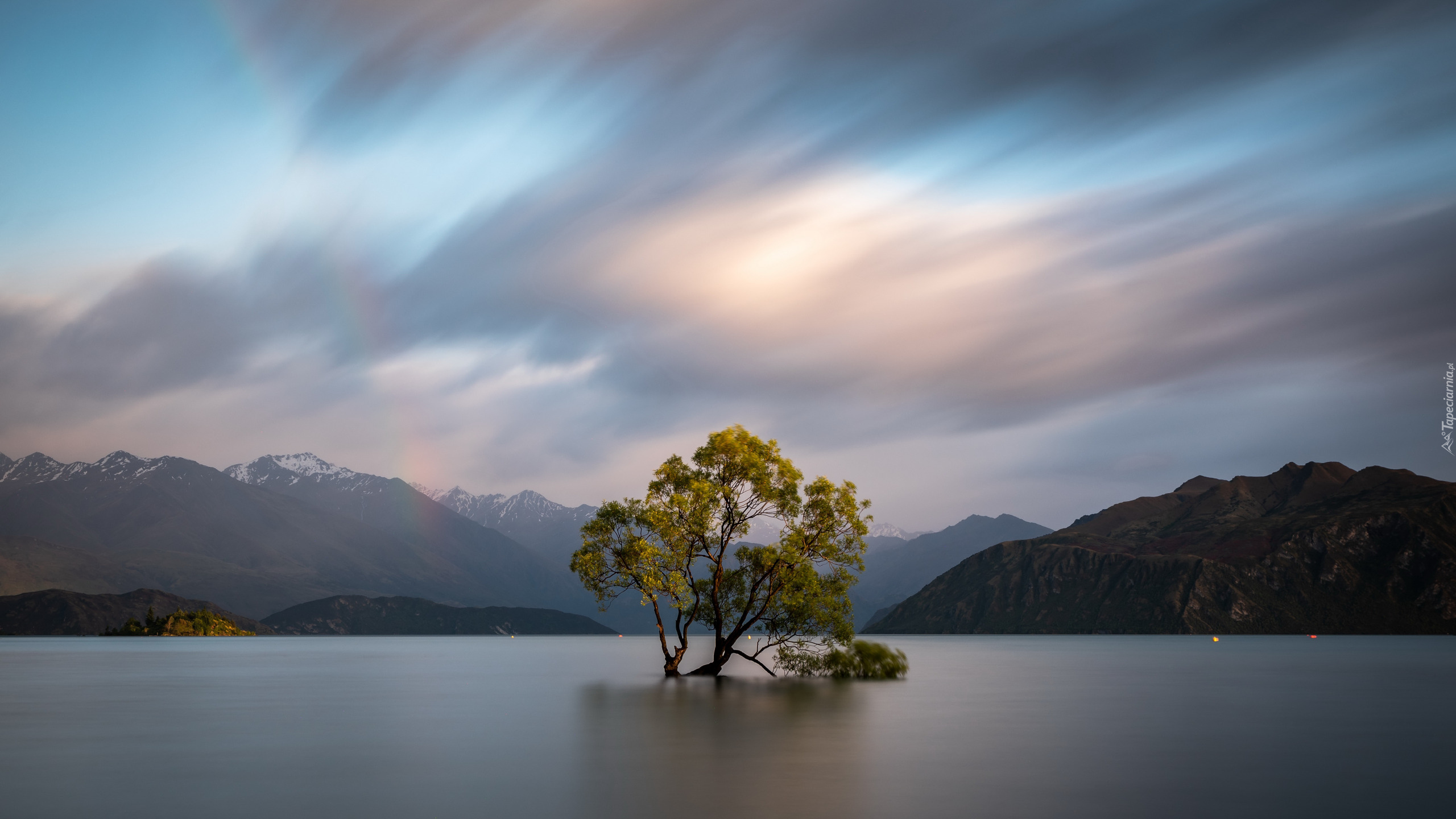 Drzewo, Góry, Jezioro Wanaka, Nowa Zelandia