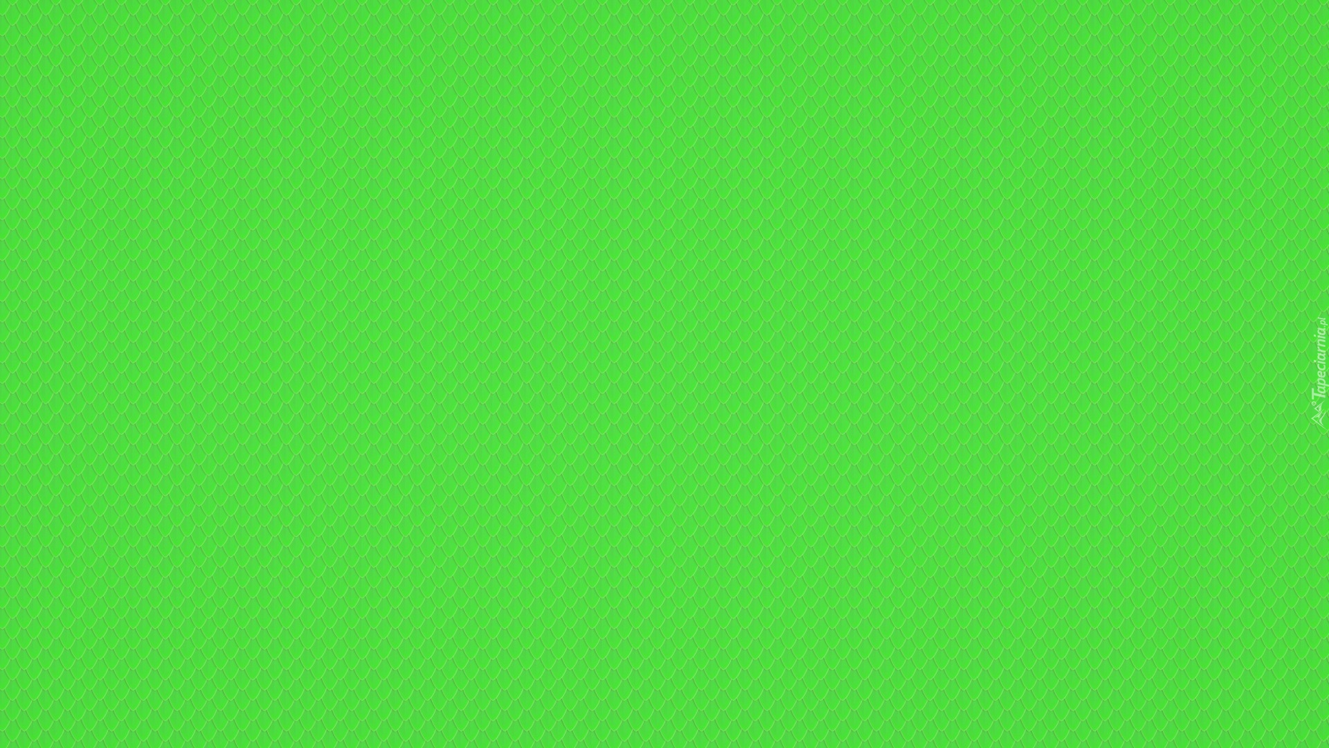 Tło, Zielone, Background