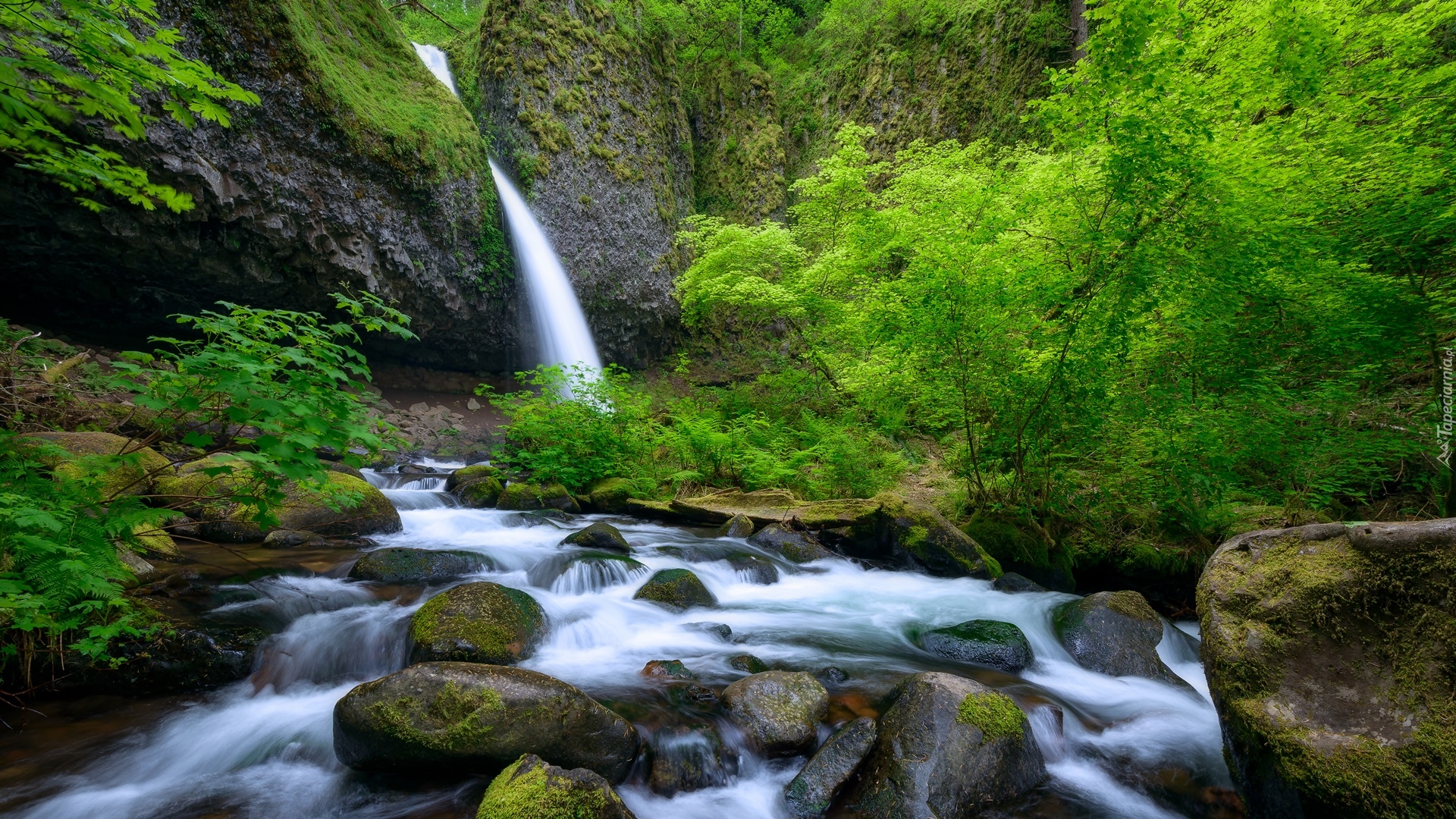 Wodospad, Upper Horsetail Falls, Rzeka, Skały, Kamienie, Zielone, Krzewy, Rośliny, Oregon, Stany Zjednoczone