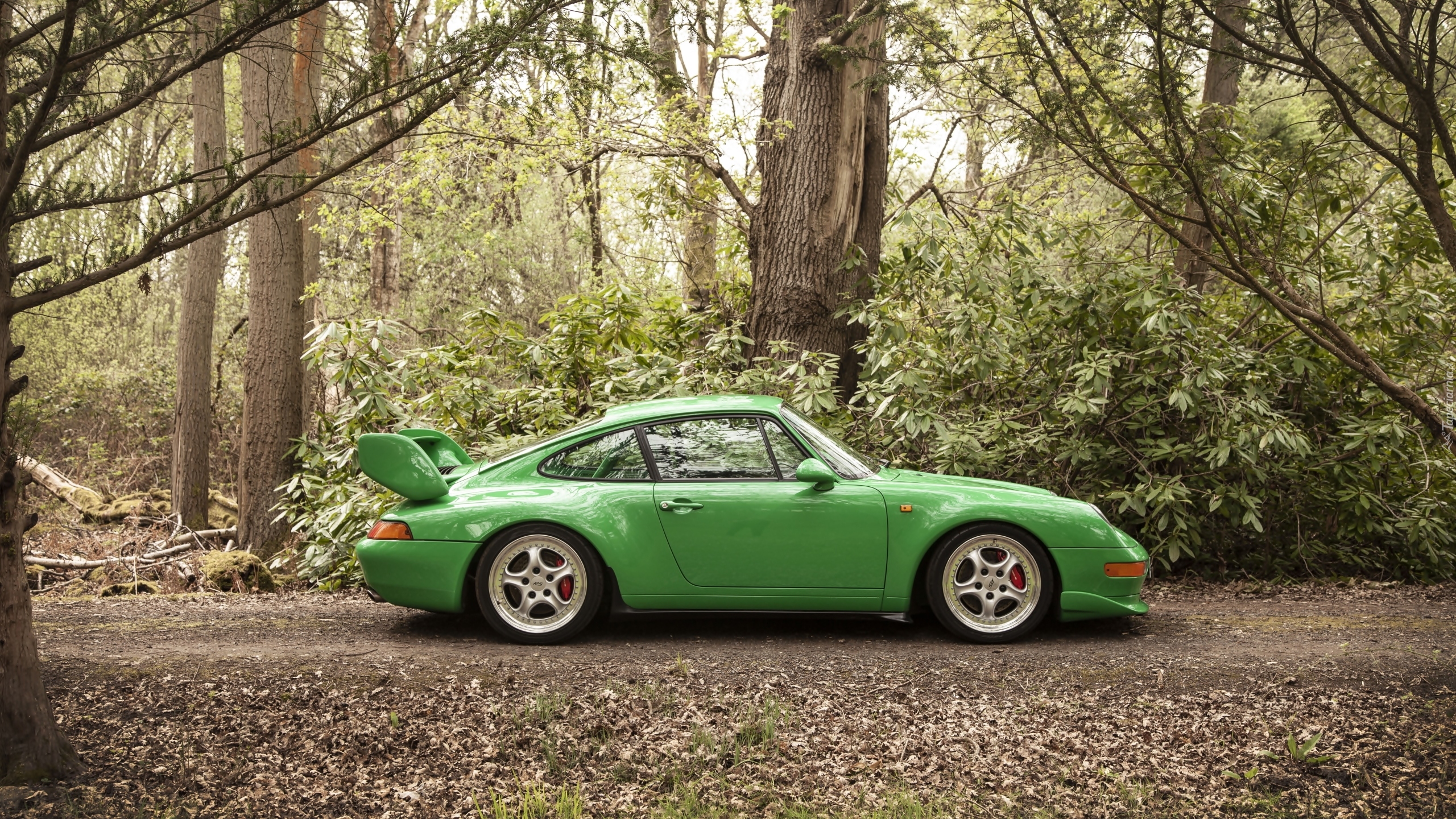 Zielone, Porsche 911 Carrera, Droga, Las