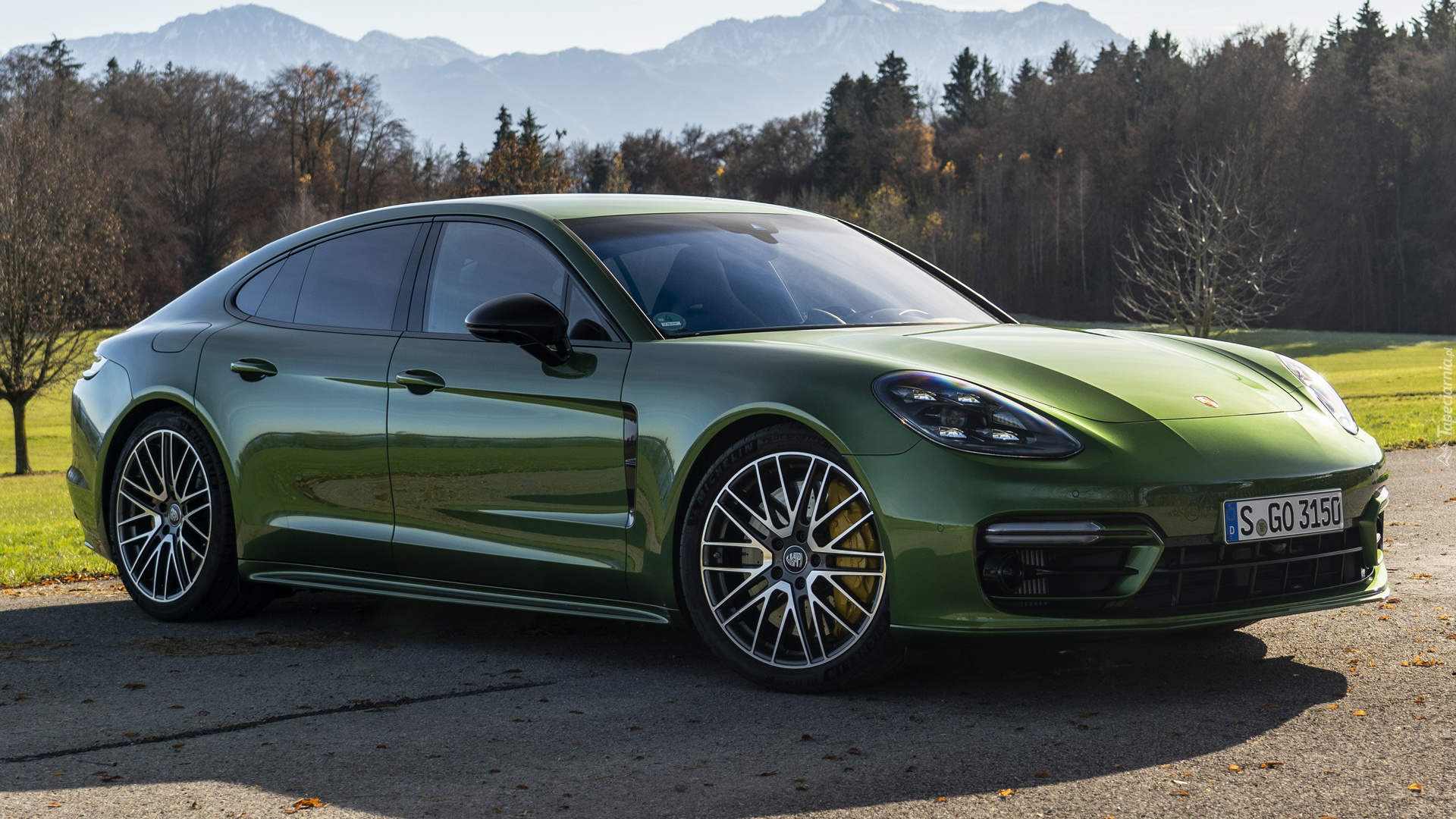 Zielone, Porsche Panamera S, Bok