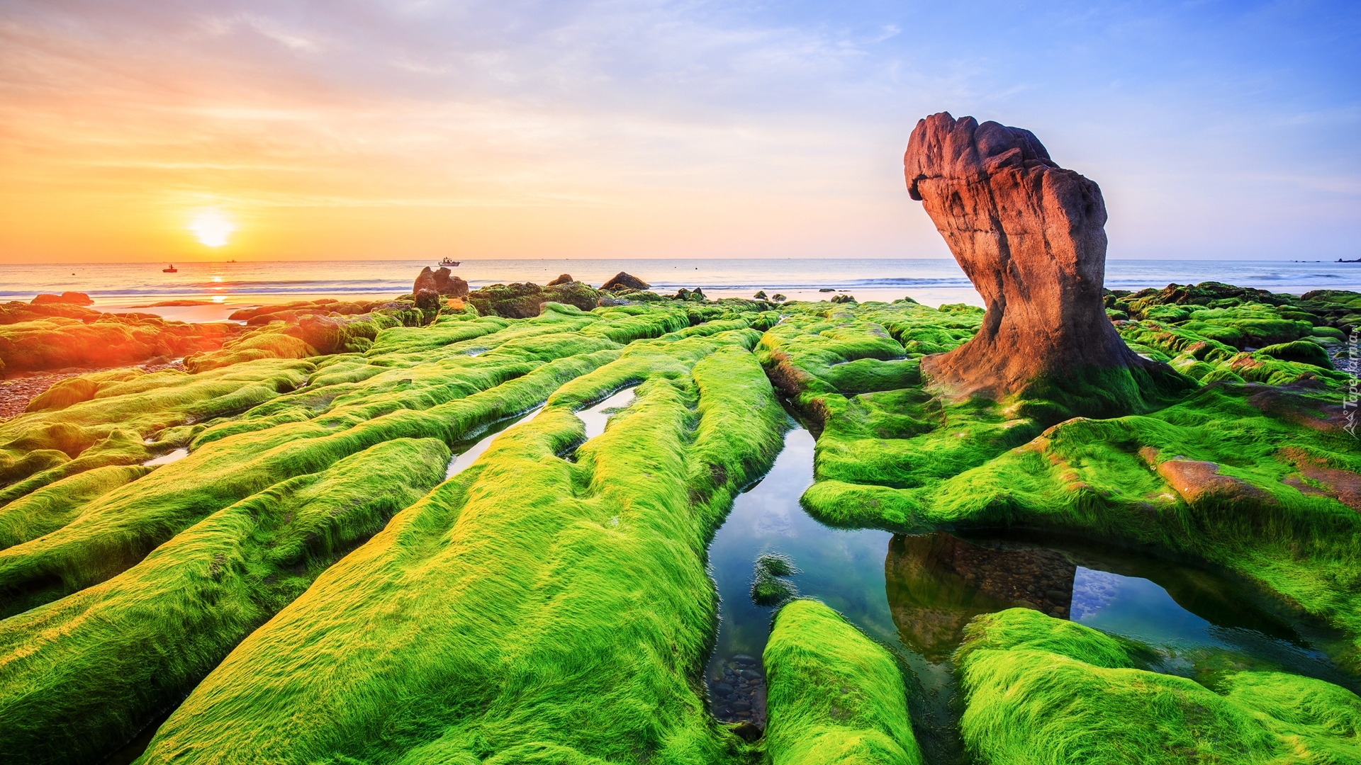 Morze, Brzeg, Wodorosty, Skały, Wschód słońca, Plaża Nam O Beach, Prowincja Da Nang, Wietnam