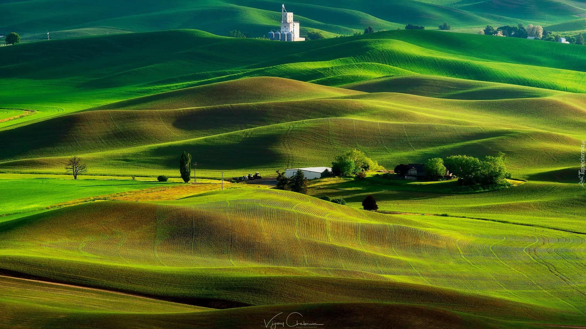 Wzgórza, Drzewa, Łąki, Pola, Steptoe Butte State Park, Region Palouse, Stan Waszyngton, Stany Zjednoczone