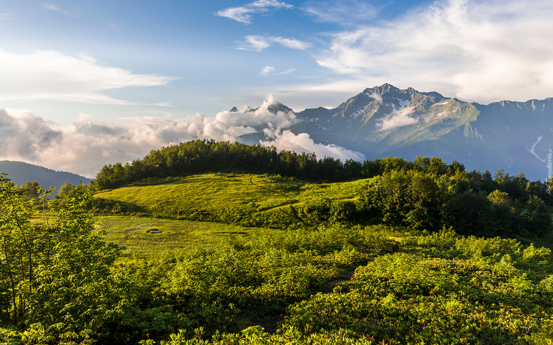 Góry, Kaukaz, Góra, Mount Chugush, Chmury, Wzgórze, Krasnaja Polana, Drzewa, Trawa, Kraj Krasnodarski, Rosja