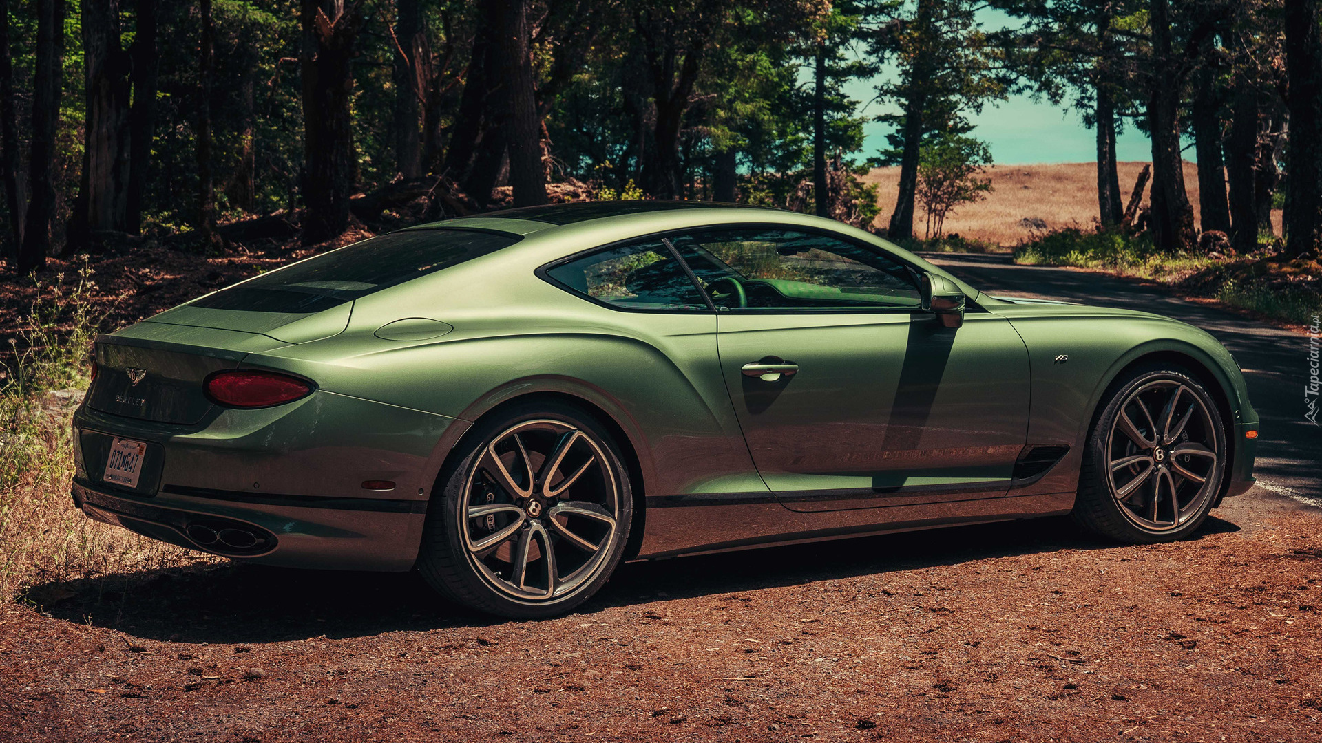 Zielony, Bentley Continental GT