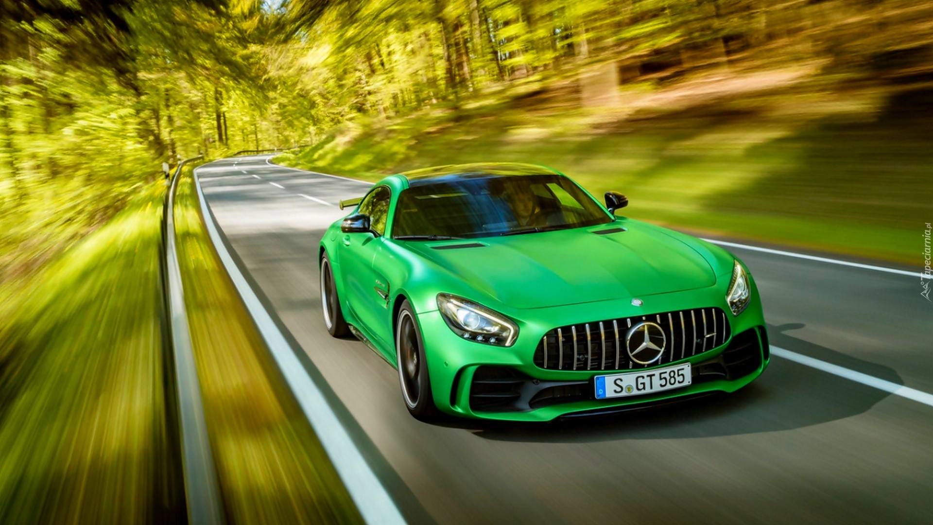 Zielony, Mercedes AMG GT R, 2016, Las, Droga