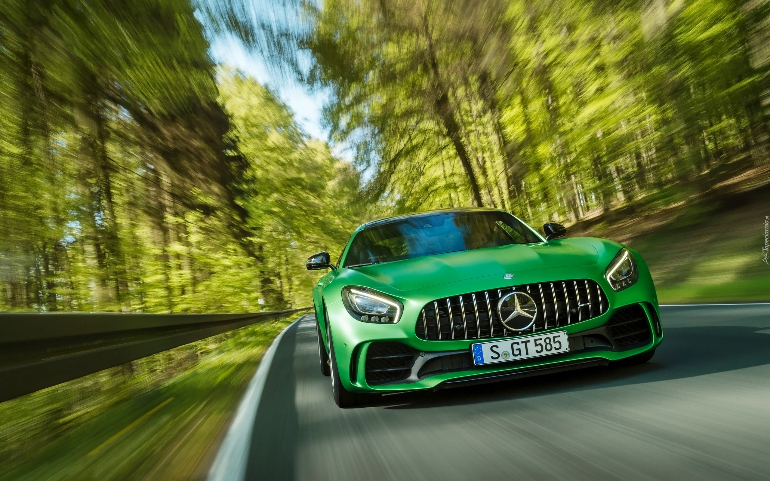 Zielony, Mercedes-AMG GT R, Droga, Las