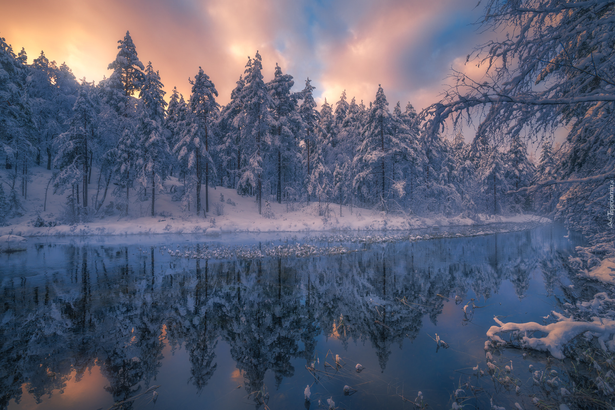 Norwegia, Gmina Ringerike, Śnieg, Zima, Zachód słońca, Jezioro, Las, Drzewa