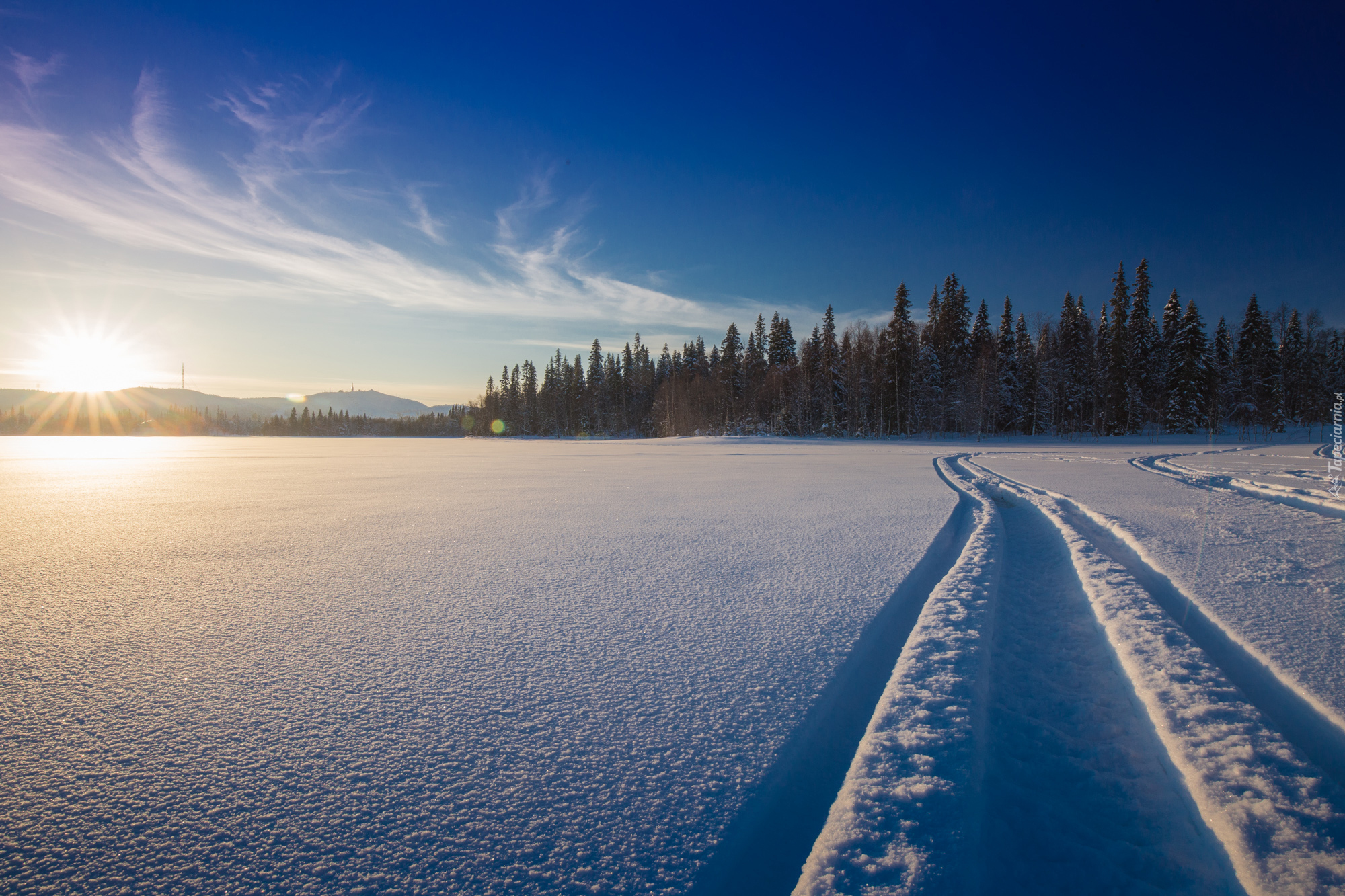 Finlandia, Ruka, Zima, Pole, Wschód słońca, Las