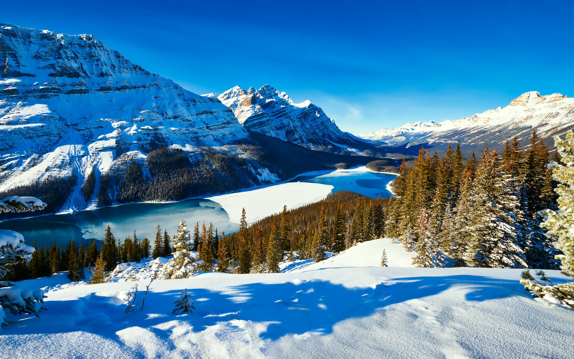 Zima, Jezioro Peyto Lake, Park Narodowy Banff, Góry Canadian Rockies, Lasy, Drzewa, Kanada