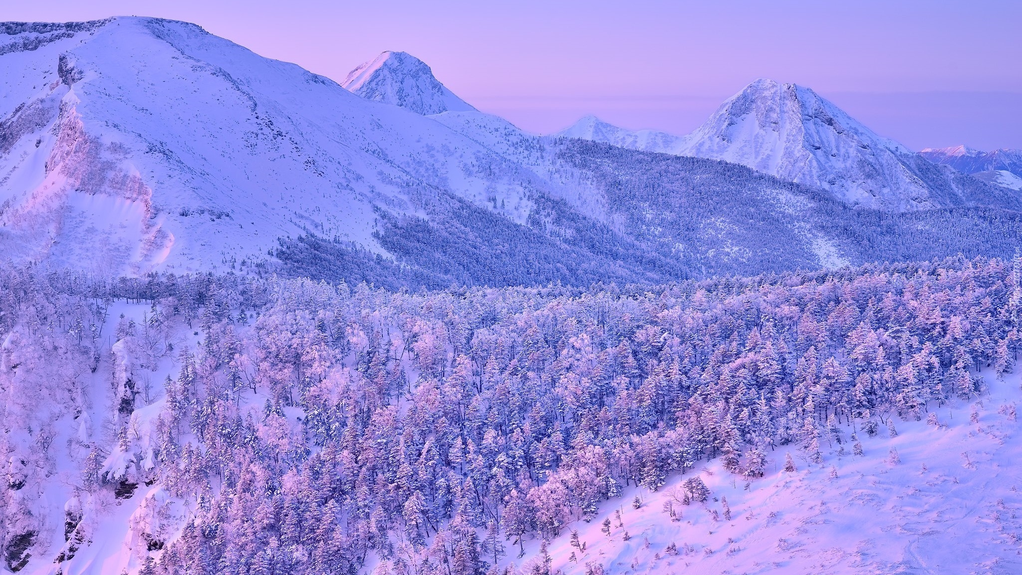 Zima, Góry Yatsugatake, Ośnieżone, Drzewa, Wyspa Honsiu, Japonia