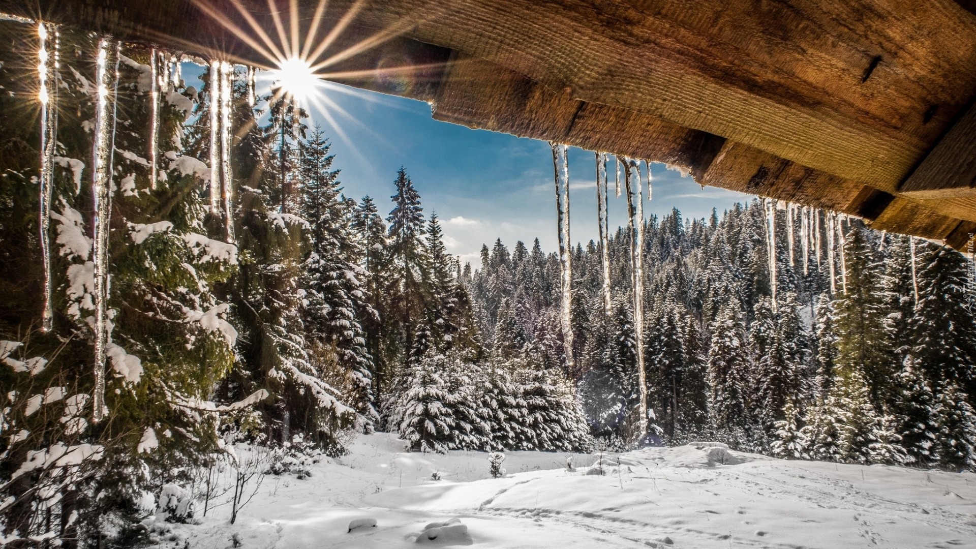 Polska, Beskidy Zachodnie, Gorczański Park Narodowy, Śnieg, Zima, Słońce, Sople, Las