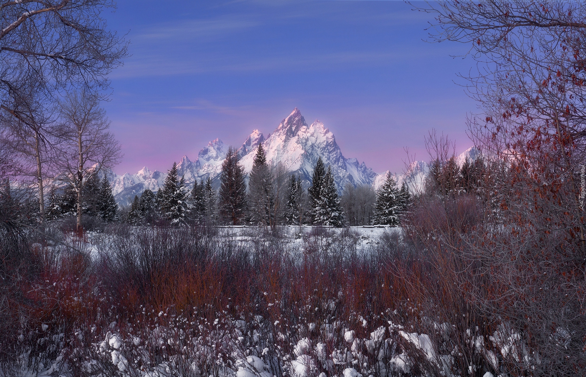 Zima, Góry, Drzewa, Park Narodowy Grand Teton, Wyoming, Stany Zjednoczone