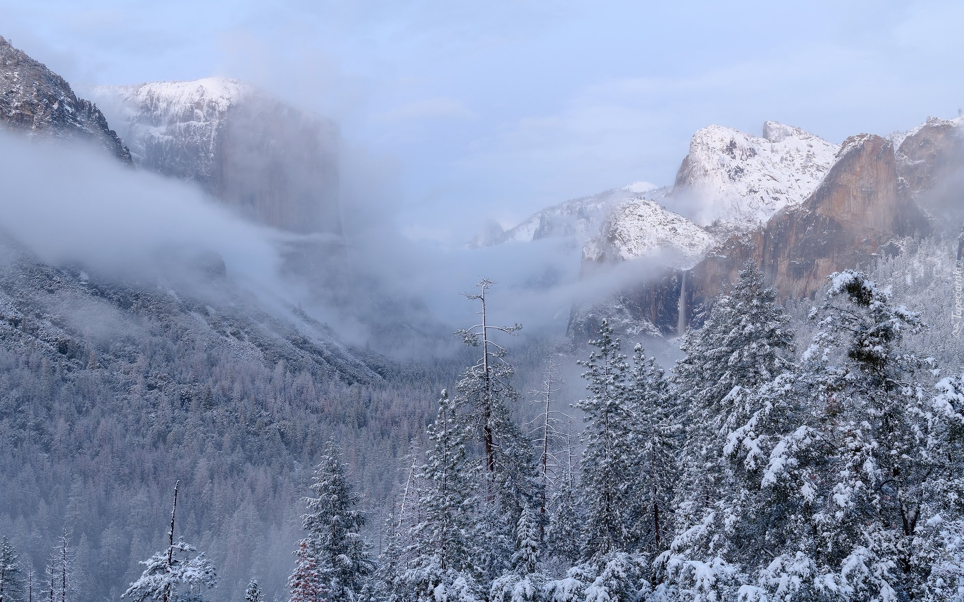 Zima, Park Narodowy Yosemite, Dolina Yosemite Valley, Drzewa, Lasy, Góry, Mgła, Stan Kalifornia, Stany Zjednoczone