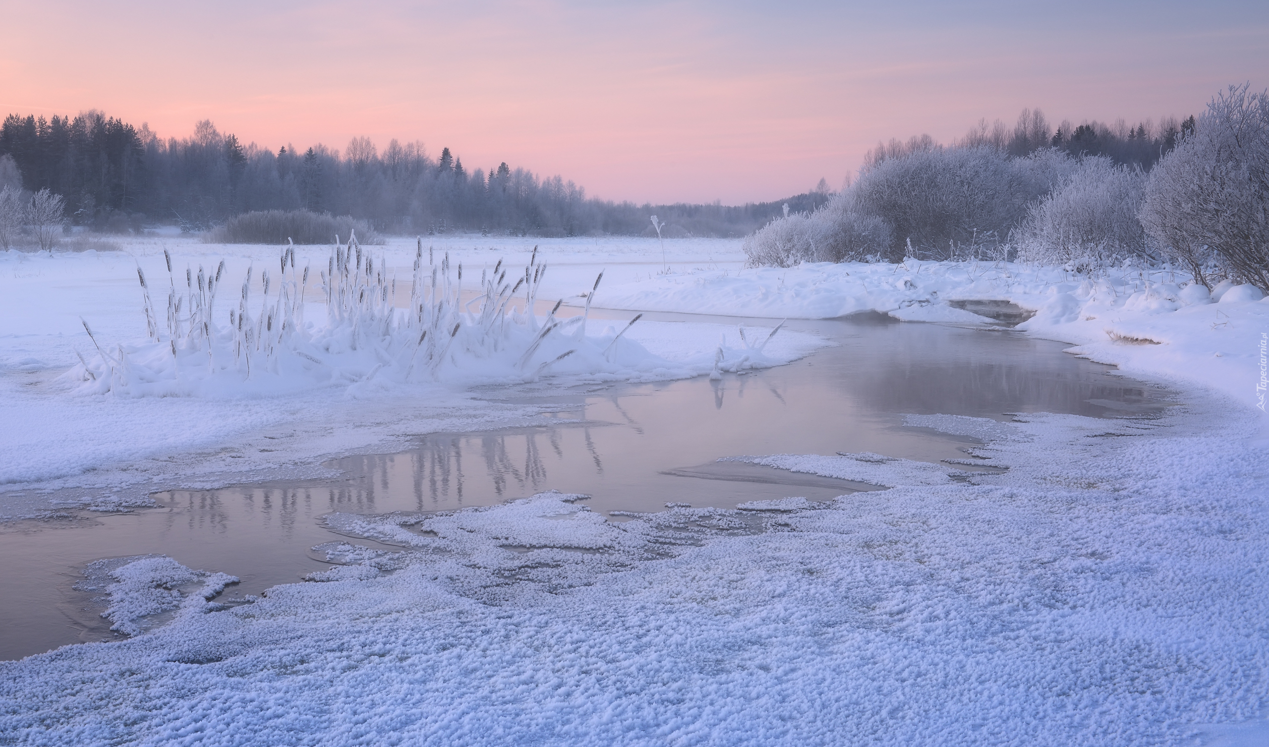 Zima, Rzeka, Drzewa, Mróz, Szron, Karelia, Rosja