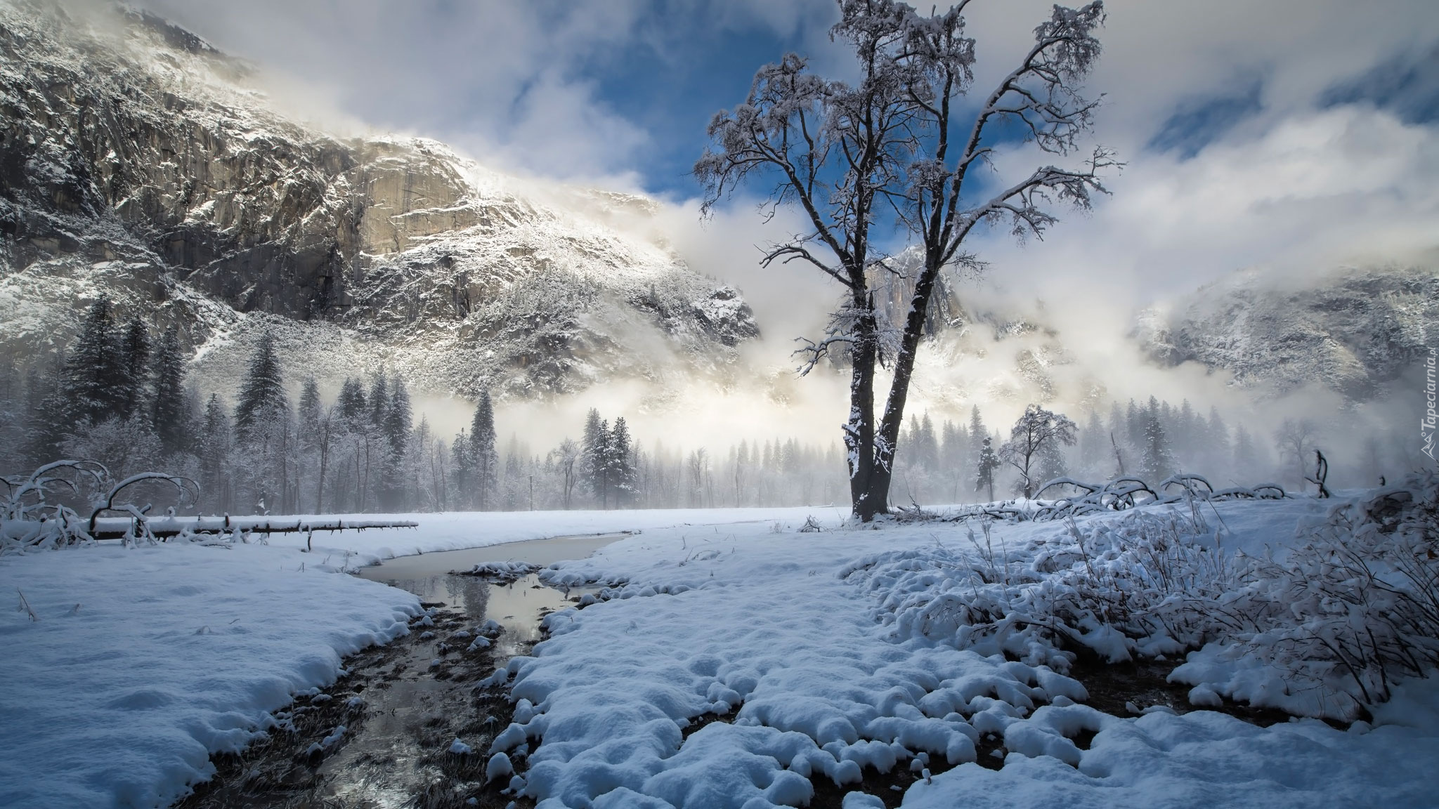 Zima, Śnieg, Góry, Rzeka, Drzewa, Góry, Mgła, Park Narodowy Yosemite, Kalifornia, Stany Zjednoczone