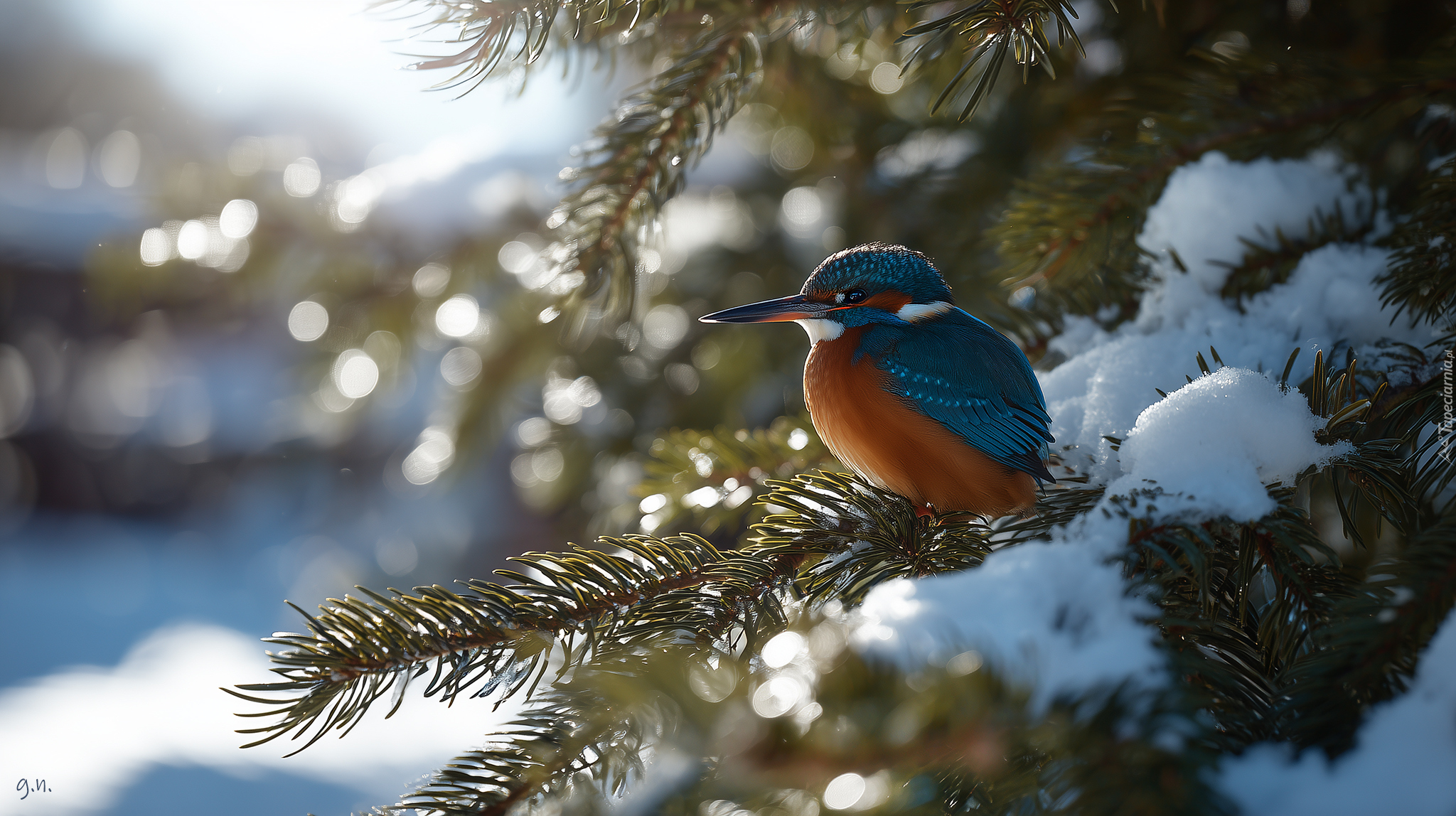 Zimorodek, Świerk, Śnieg, Zima, Grafika AI