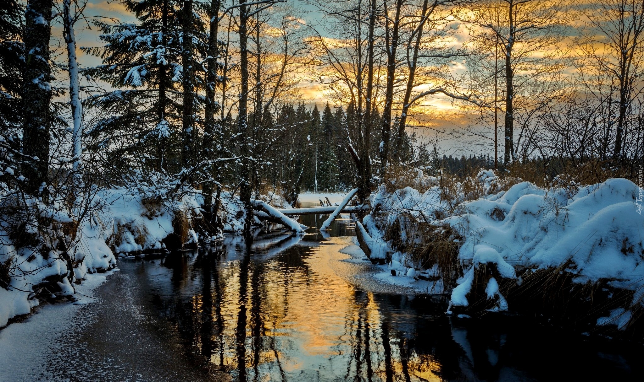 Szwecja, Region Värmland, Zima, Rzeka, Drzewa, Wschód słońca