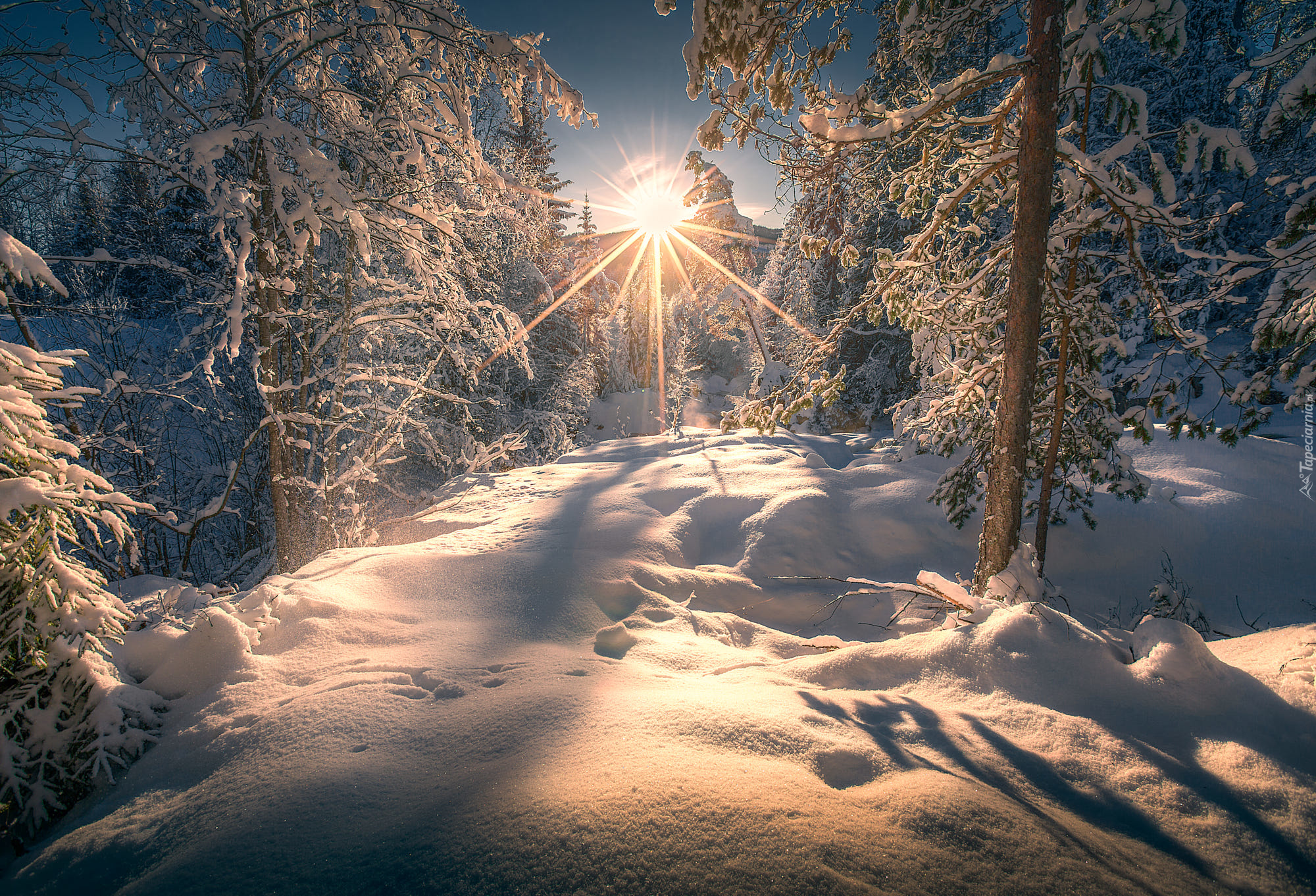 снег лучи солнце зима snow rays the sun winter скачать