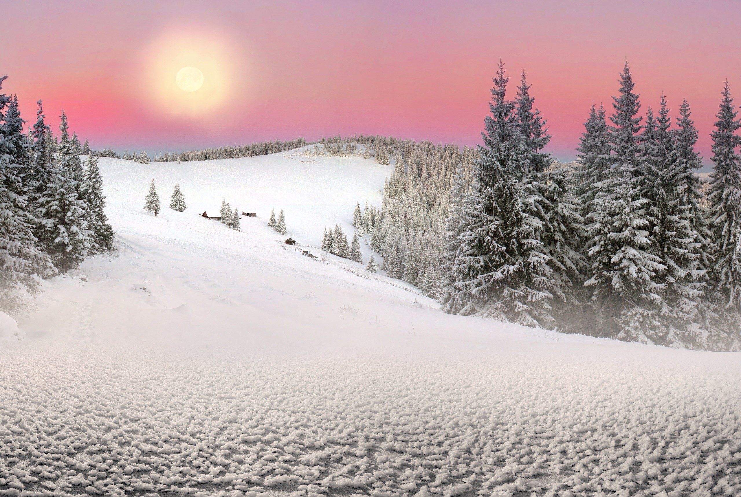 Zima, Drzewa, Słońce, Ukraina, Wzgórza
