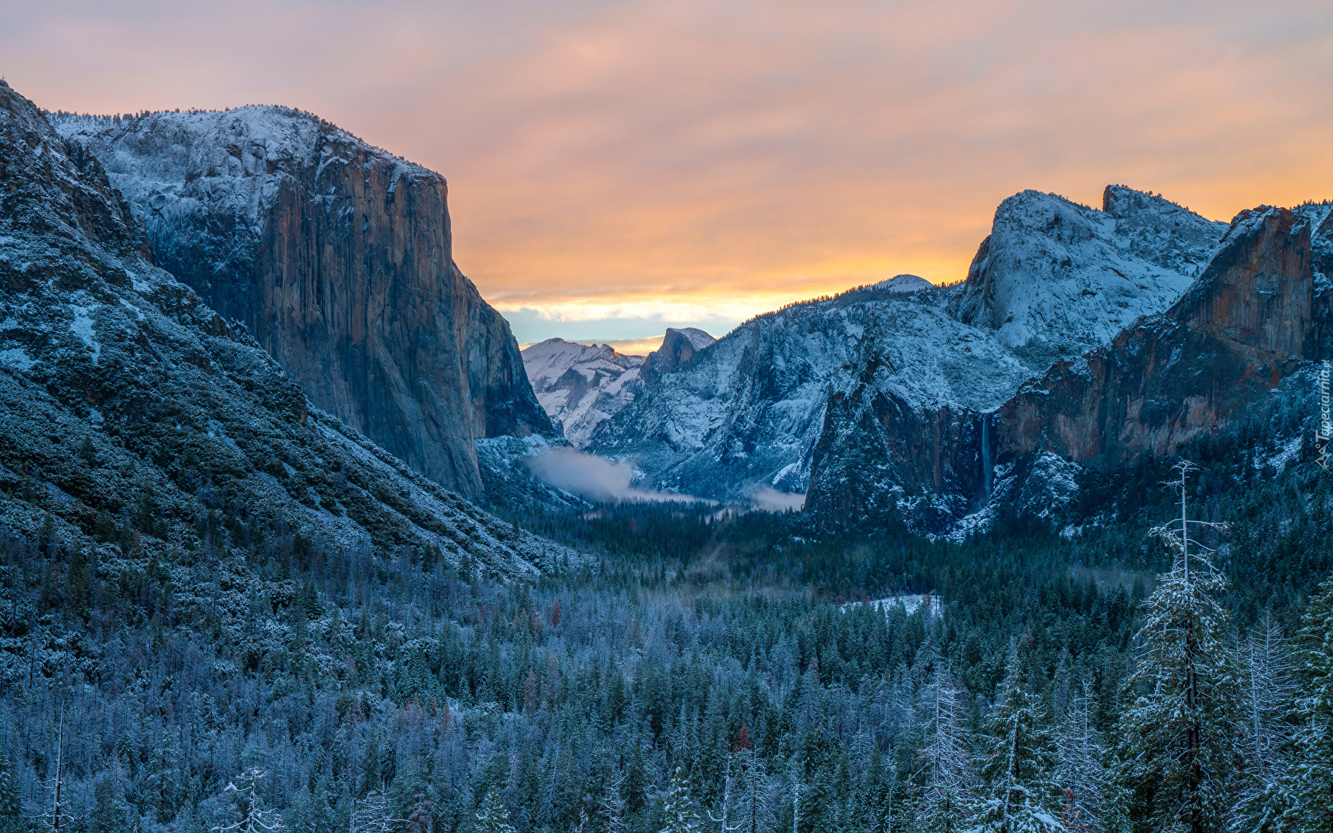 Stany Zjednoczone, Kalifornia, Park Narodowy Yosemite, Góry, Sierra Nevada, Las, Turnia