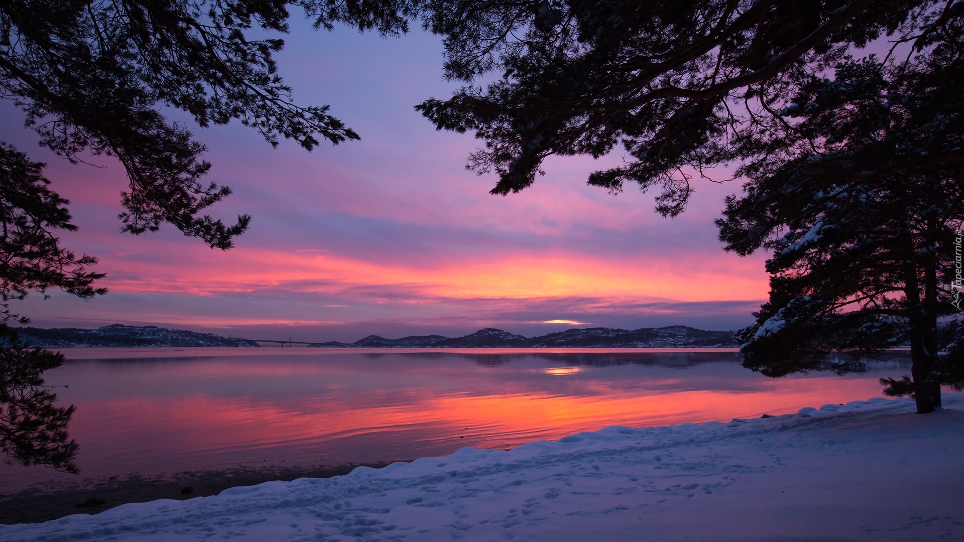 Zima, Drzewa, Zachód słońca, Fiord Topdalsfjorden, Kristiansand, Norwegia