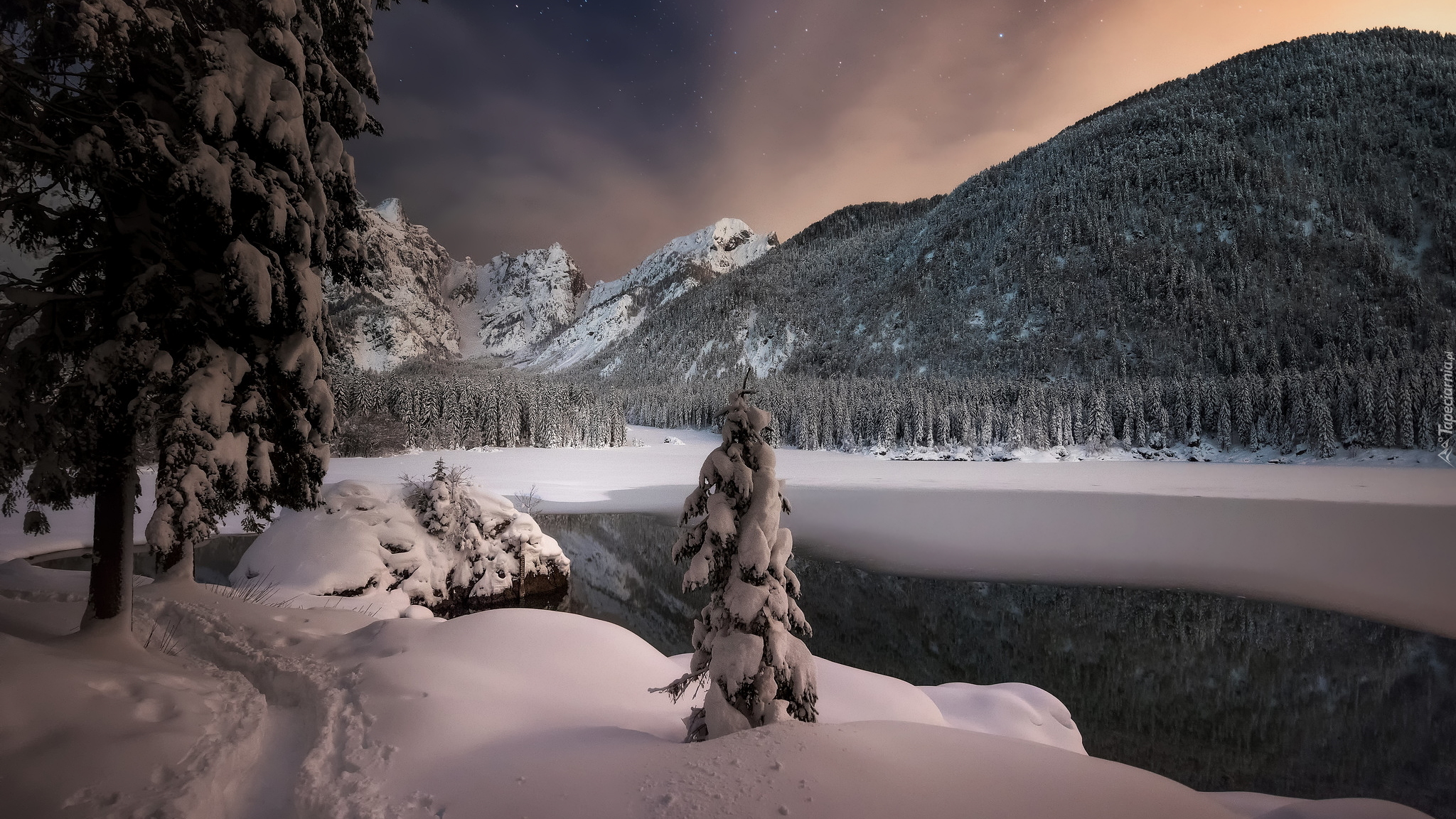 Zima, Noc, Jezioro Fusine Lake, Drzewa, Lasy, Góry, Alpy Julijskie, Włochy