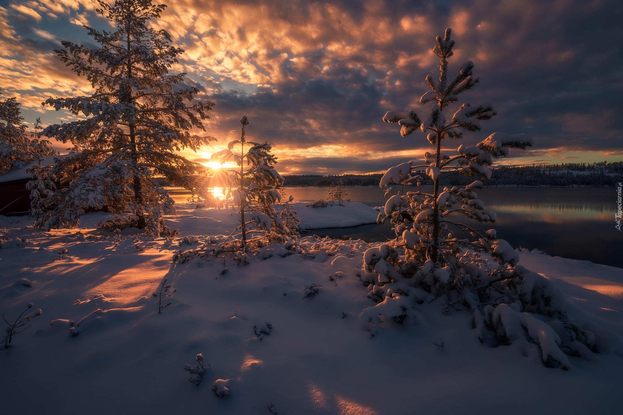 Norwegia, Ringerike, Zima, Jezioro, Drzewa, Wschód słońca, Chmury