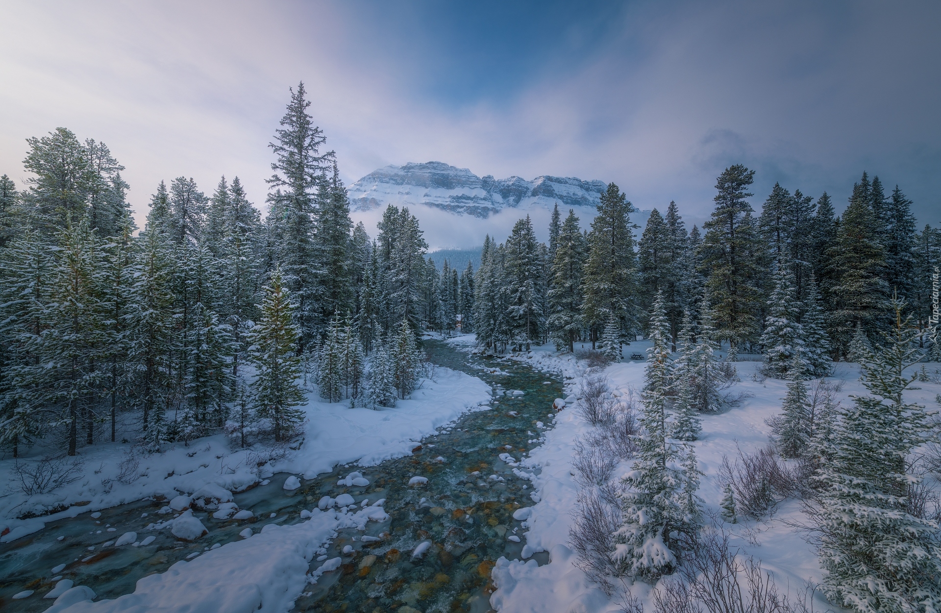 Zima, Góry, Canadian Rockies, Rzeka, Las, Drzewa, Mgła, Park Narodowy Banff, Alberta, Kanada
