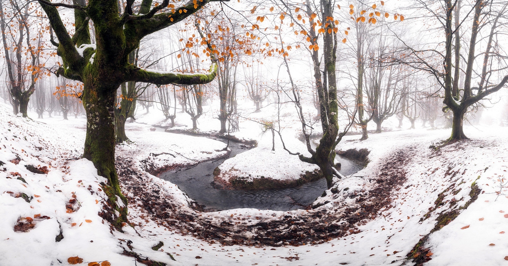 Zima, Park Narodowy Gorbea, Las, Drzewa, Rzeka, Kraj Basków, Hiszpania