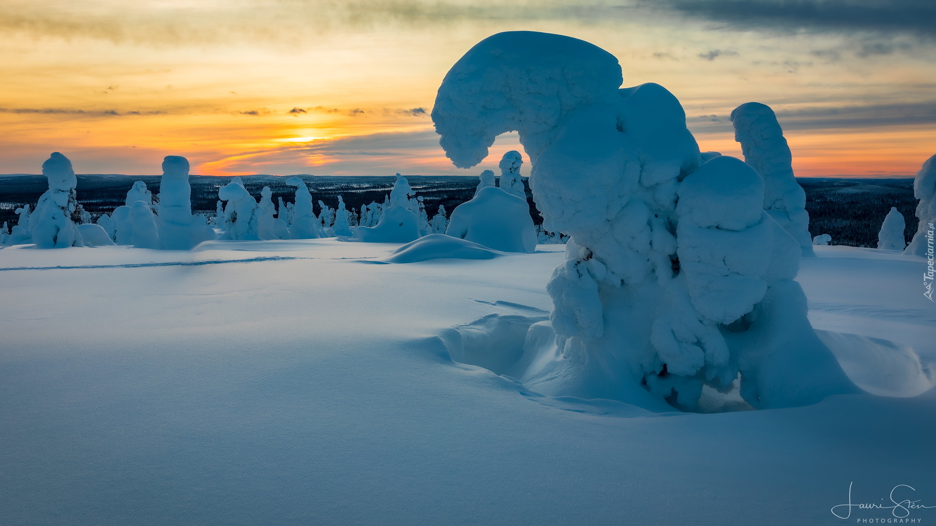 Zima, Zaśnieżone, Drzewa, Park Narodowy Riisitunturi, Zachód słońca, Laponia, Finlandia