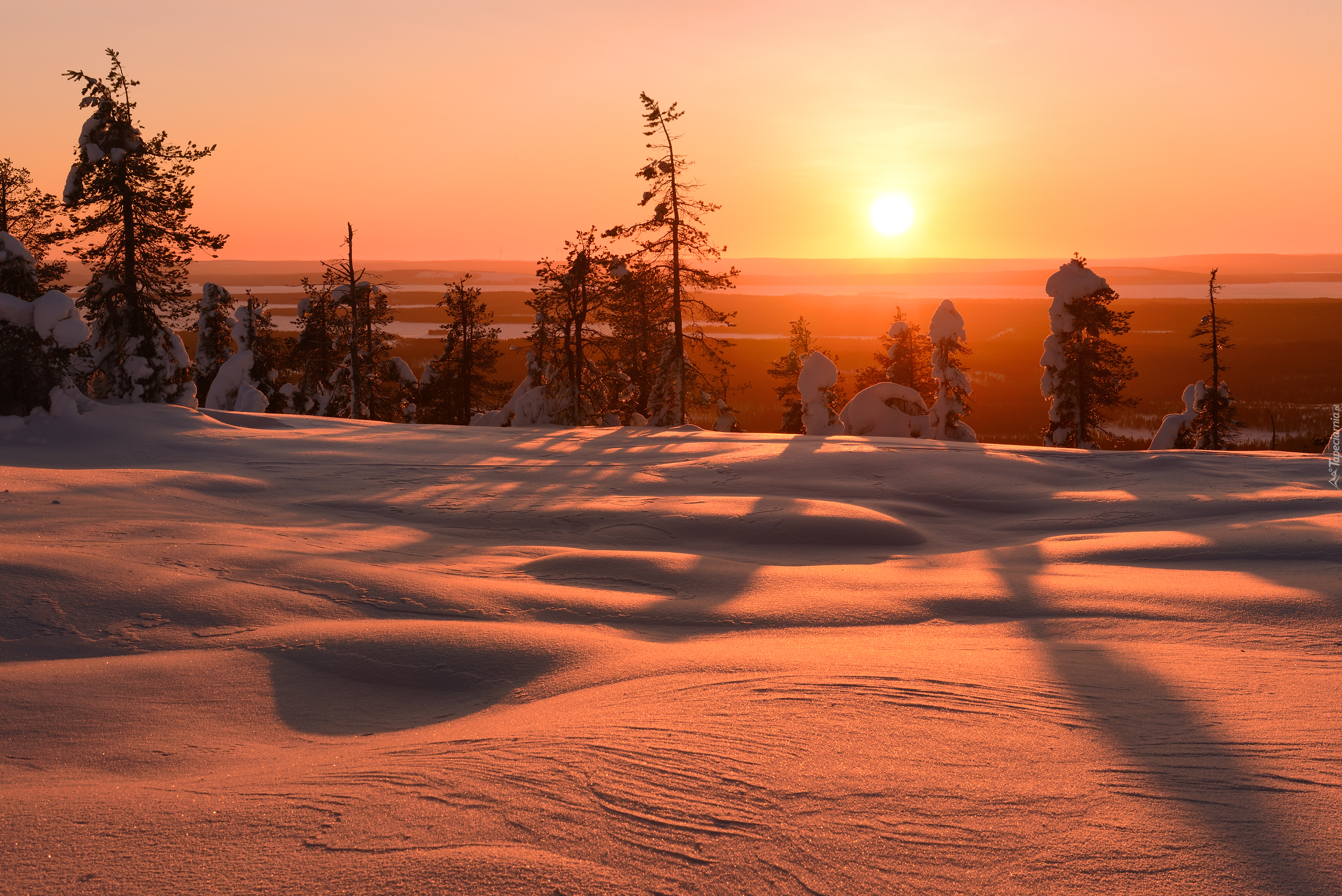 Wschód słońca, Zima, Śnieg, Drzewa, Finlandia
