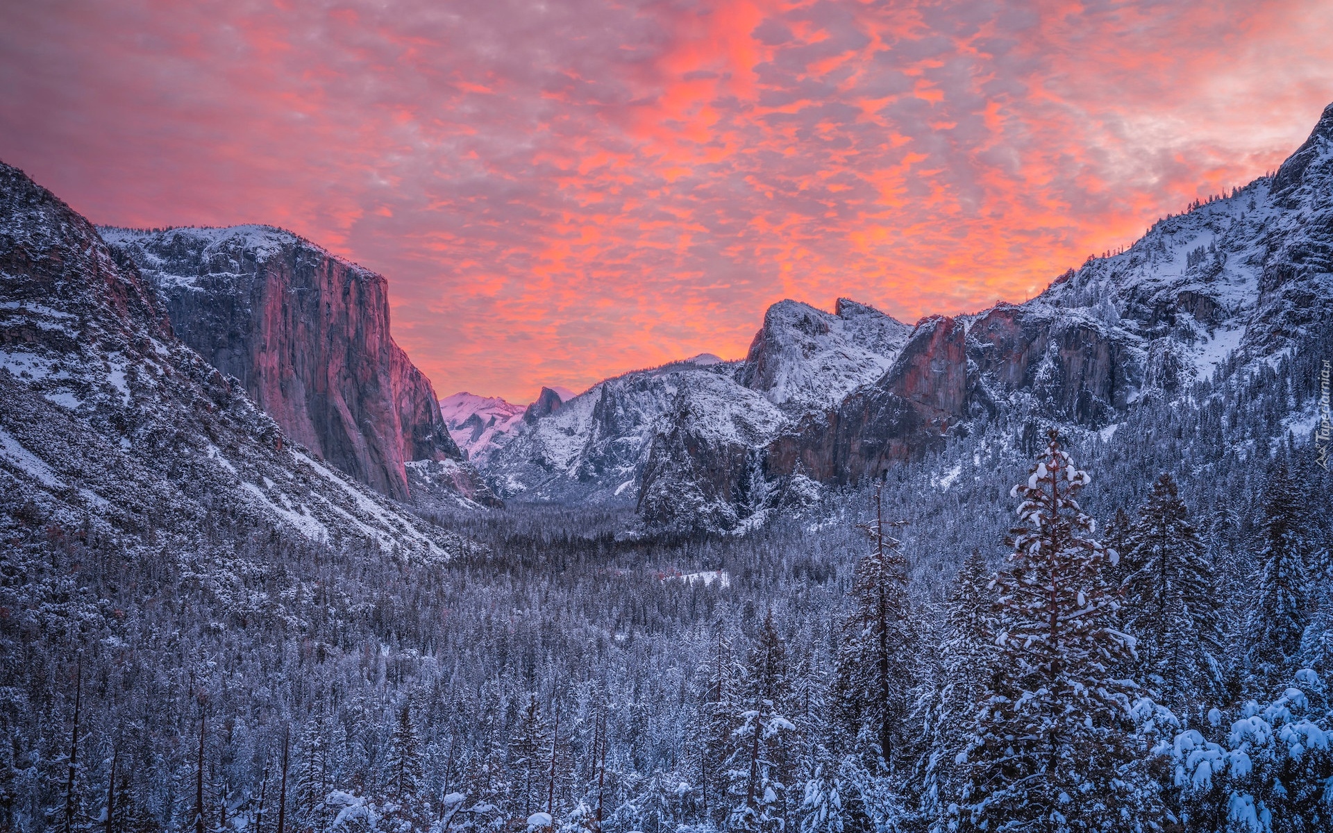 Stany Zjednoczone, Kalifornia, Park Narodowy Yosemite, Zima, Drzewa, Ośnieżone, Góra, El Capitan