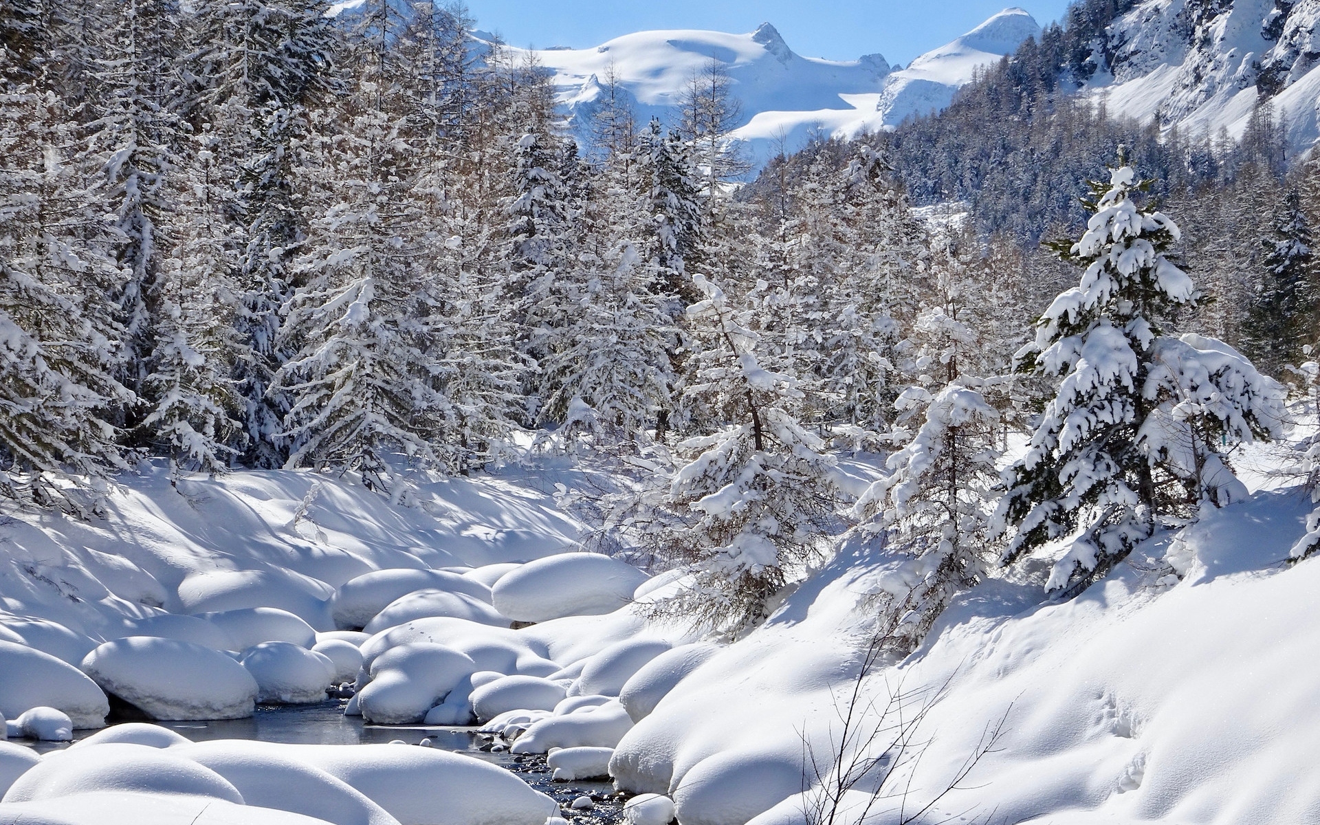 Szwajcaria, Kanton Gryzonia, Pontresina, Zima, Potok, Śnieg, Drzewa, Las